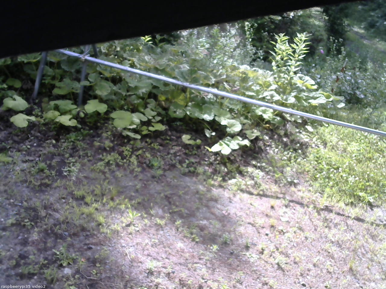 長野県菅平高原 ゆたか山荘 駐車場 2026/07/11 08:00