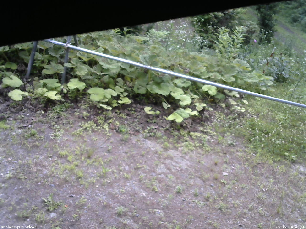 長野県菅平高原 ゆたか山荘 駐車場 2026/07/11 08:45