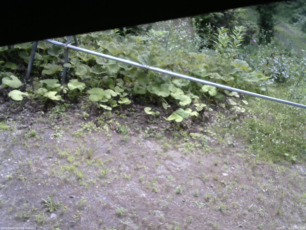 長野県菅平高原 ゆたか山荘 駐車場 2026/07/11 09:00
