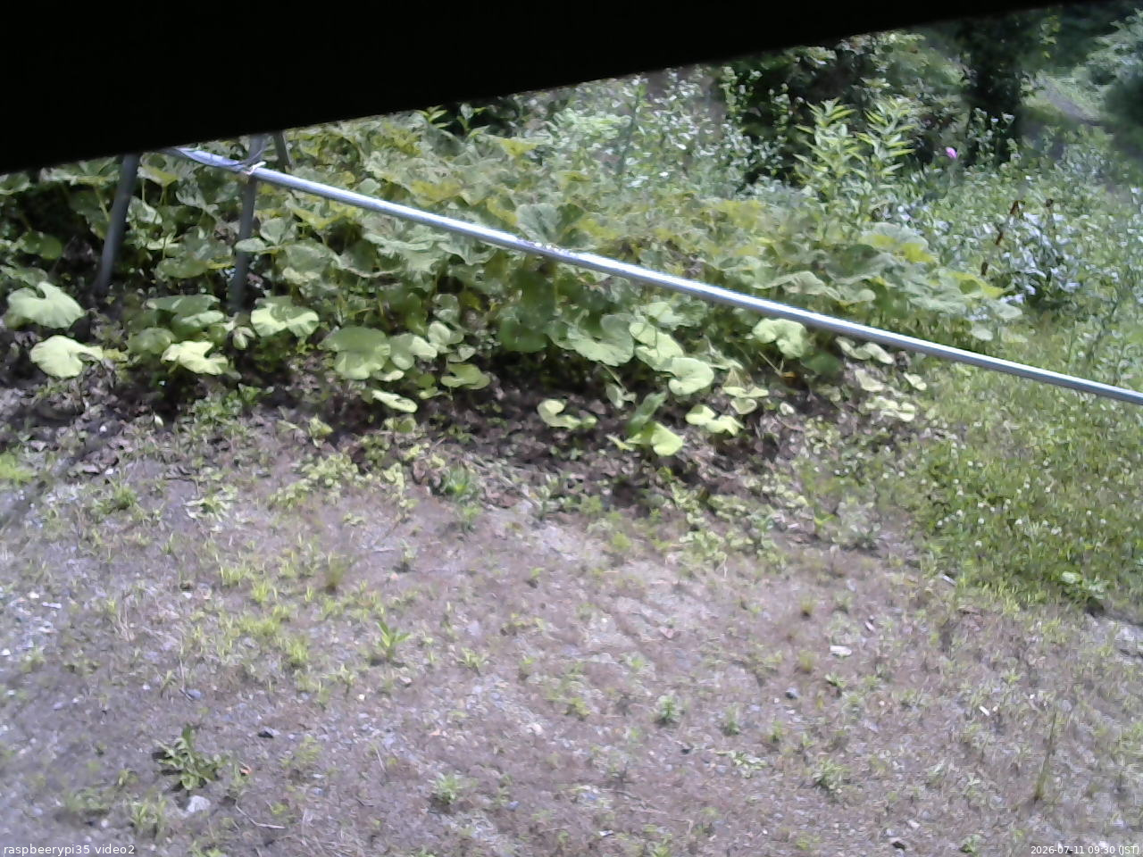 長野県菅平高原 ゆたか山荘 駐車場 2026/07/11 09:30