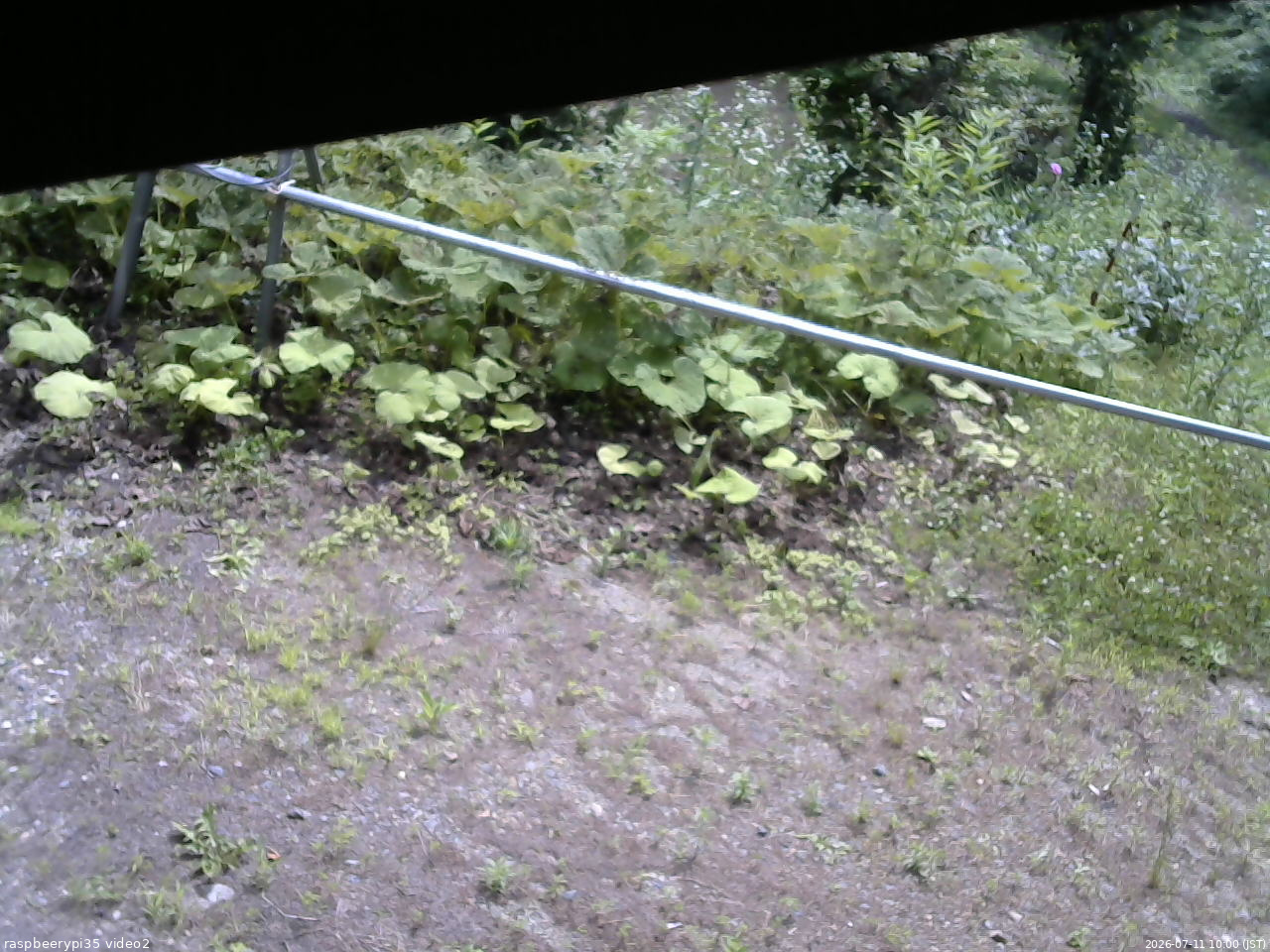 長野県菅平高原 ゆたか山荘 駐車場 2026/07/11 10:00