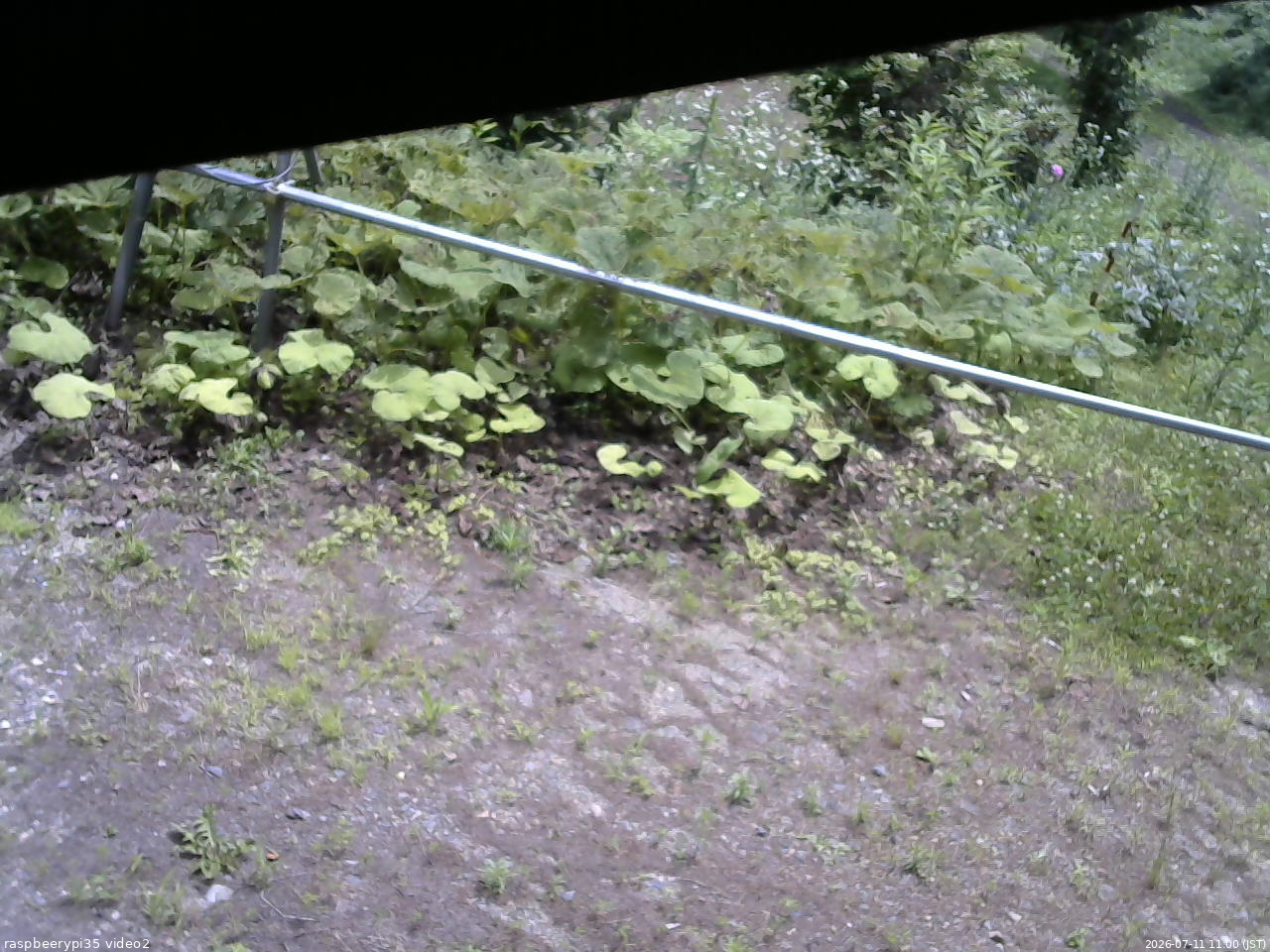 長野県菅平高原 ゆたか山荘 駐車場 2026/07/11 11:00