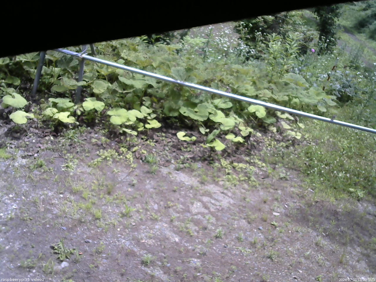 長野県菅平高原 ゆたか山荘 駐車場 2026/07/11 11:30