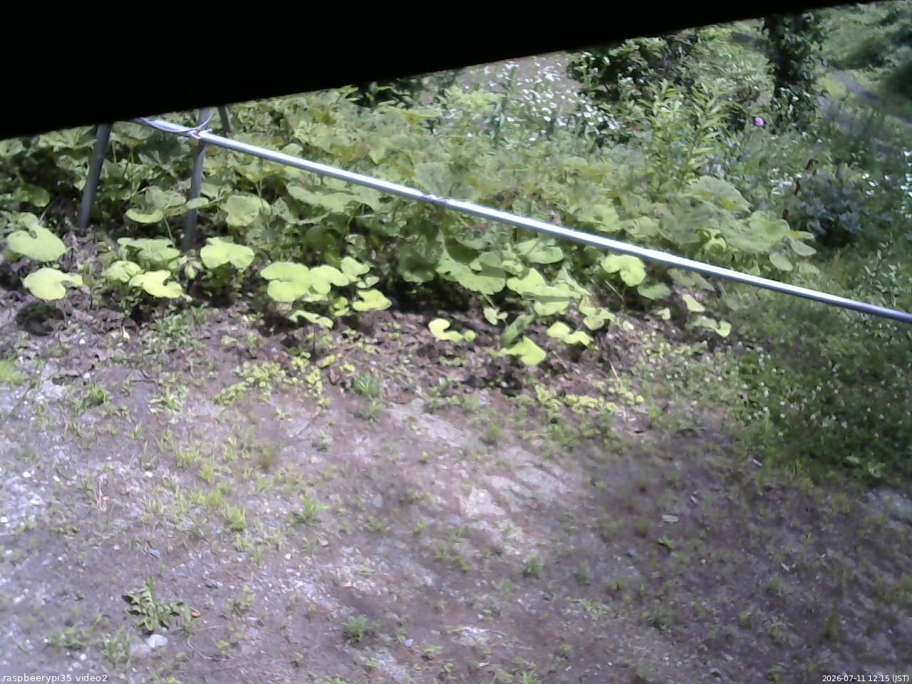 長野県菅平高原 ゆたか山荘 駐車場 2026/07/11 12:15