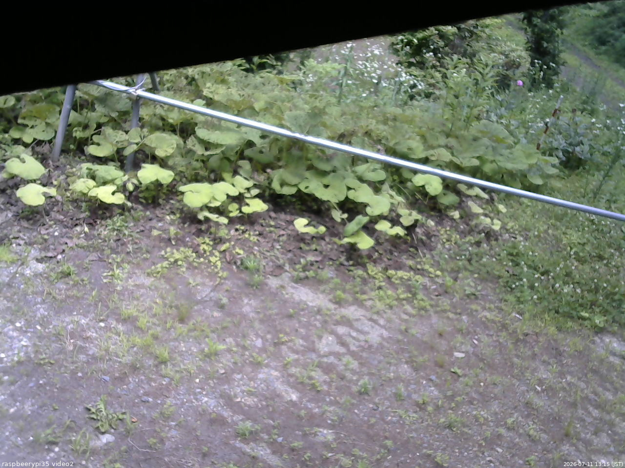 長野県菅平高原 ゆたか山荘 駐車場 2026/07/11 13:15