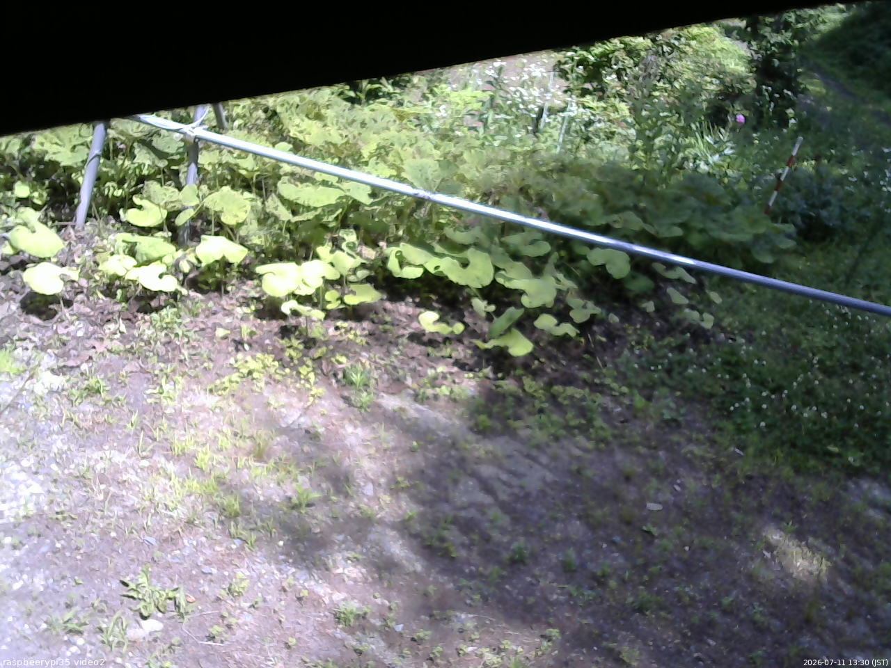 長野県菅平高原 ゆたか山荘 駐車場 2026/07/11 13:30