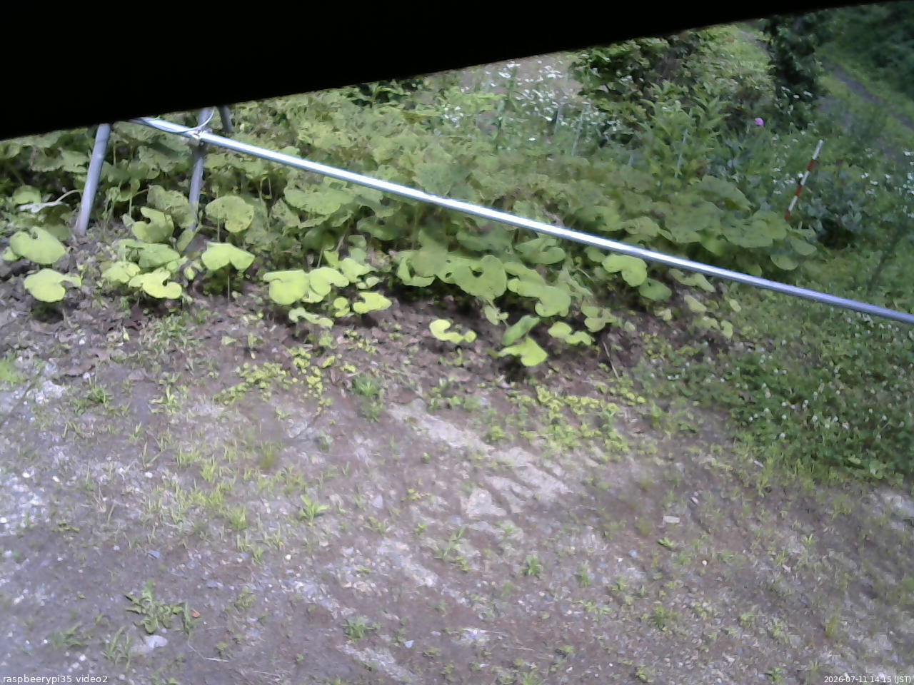 長野県菅平高原 ゆたか山荘 駐車場 2026/07/11 14:15