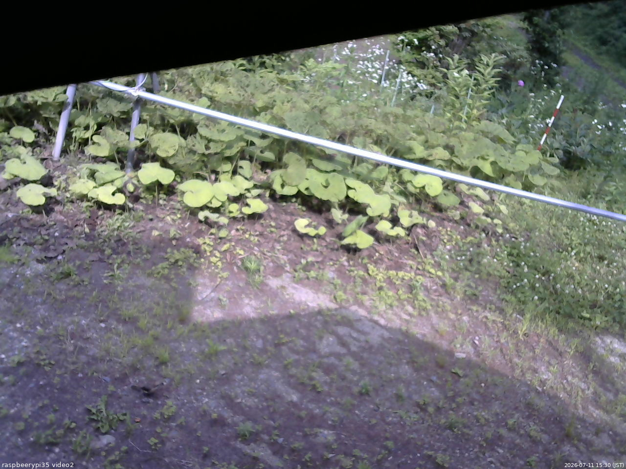 長野県菅平高原 ゆたか山荘 駐車場 2026/07/11 15:30