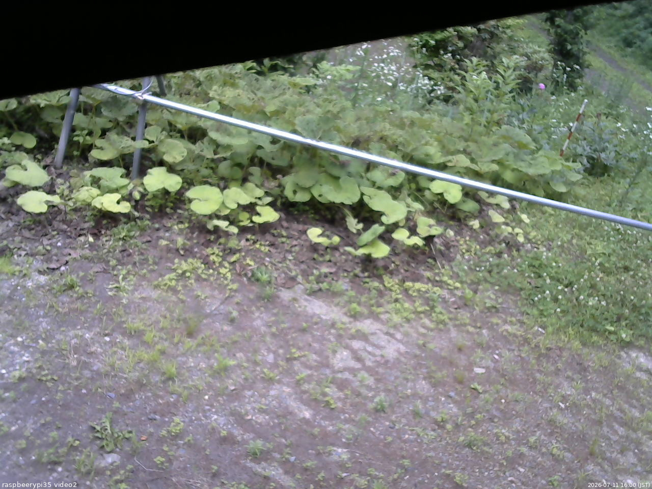 長野県菅平高原 ゆたか山荘 駐車場 2026/07/11 16:00
