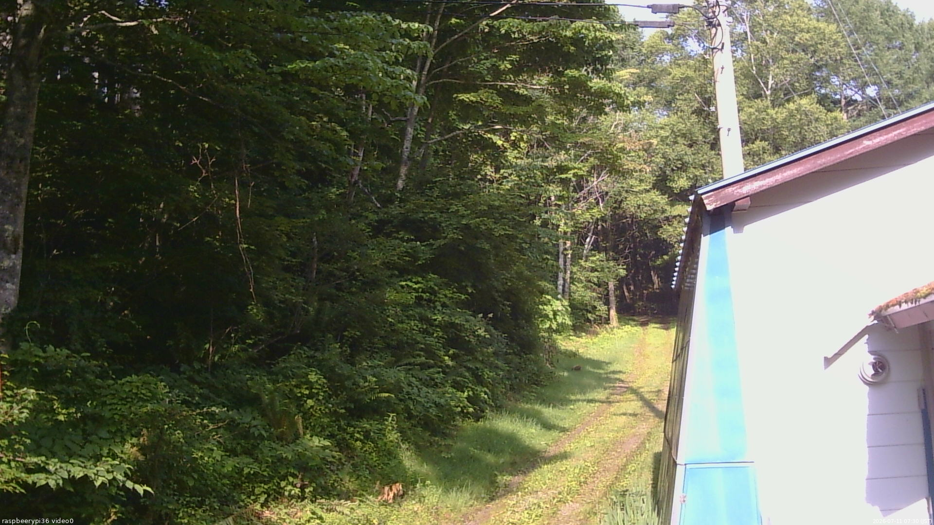 長野県菅平高原 ゆたか山荘 ゆたか山荘 2026/07/11 07:30