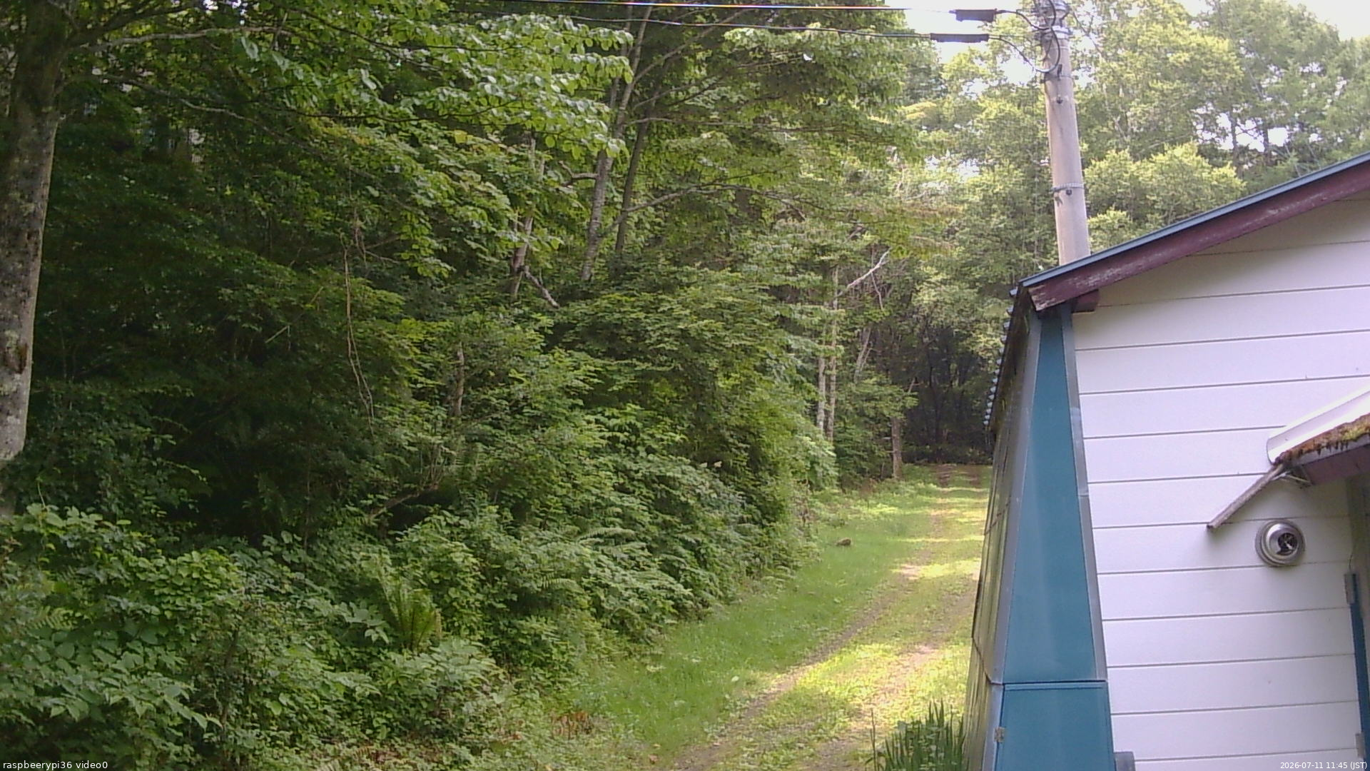 長野県菅平高原 ゆたか山荘 ゆたか山荘 2026/07/11 11:45