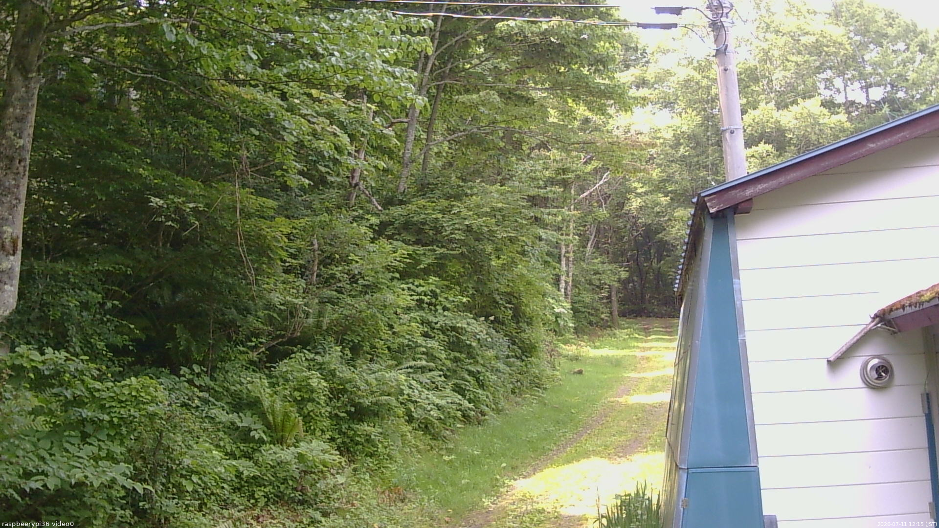 長野県菅平高原 ゆたか山荘 ゆたか山荘 2026/07/11 12:15