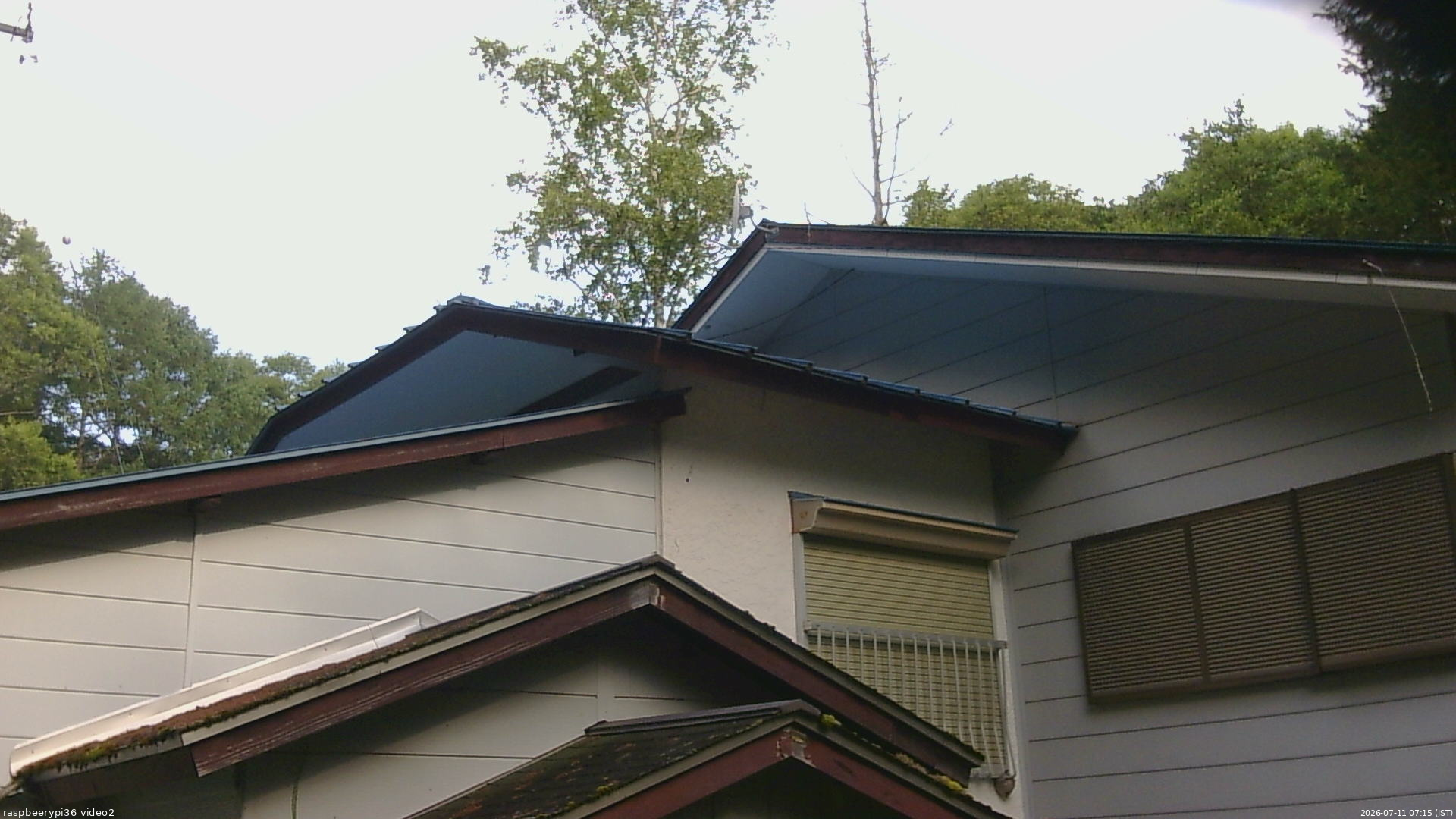 長野県菅平高原 ゆたか山荘 駐車場奥 2026/07/11 07:15
