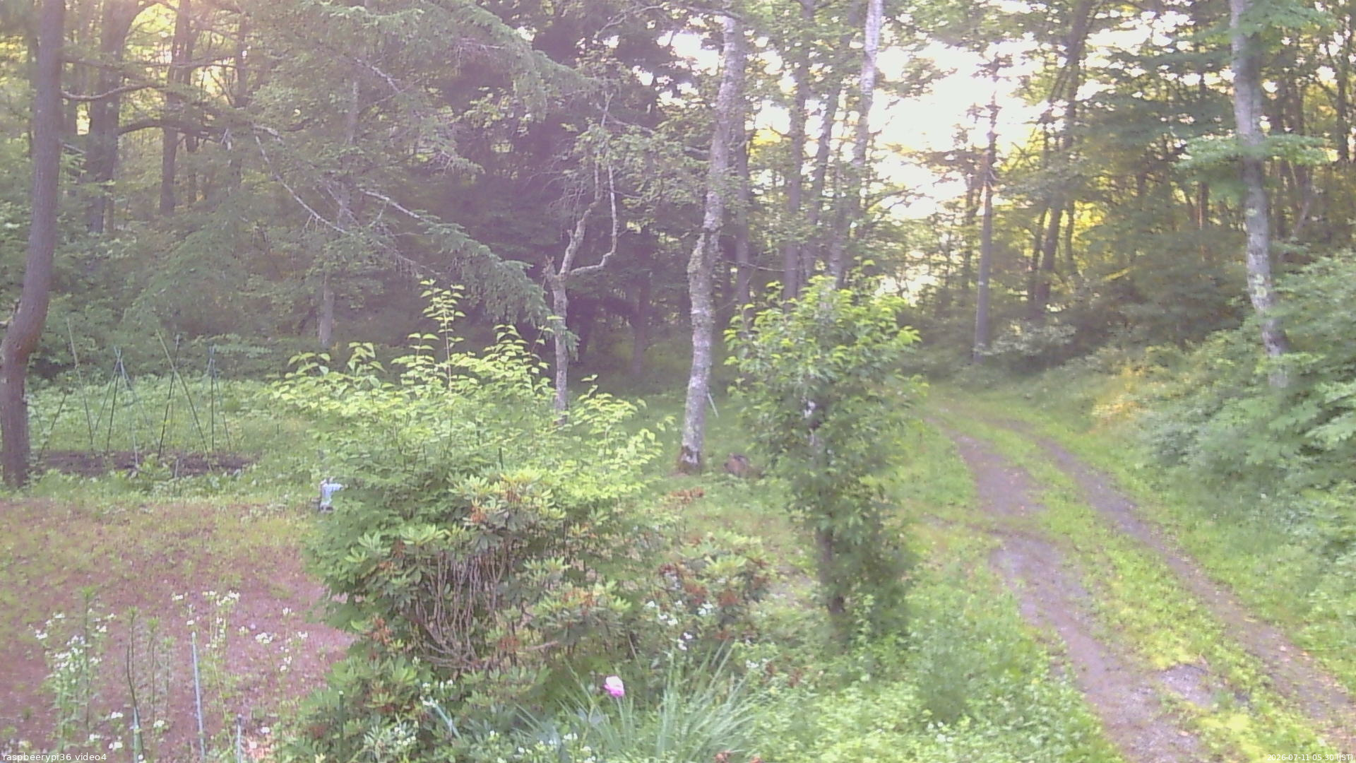 長野県菅平高原 ゆたか山荘 坂上 2026/07/11 05:30
