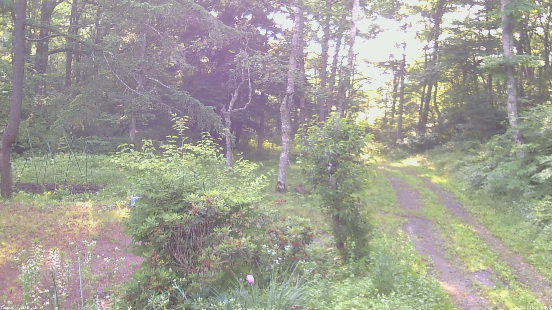 長野県菅平高原 ゆたか山荘 坂上 2026/07/11 06:15