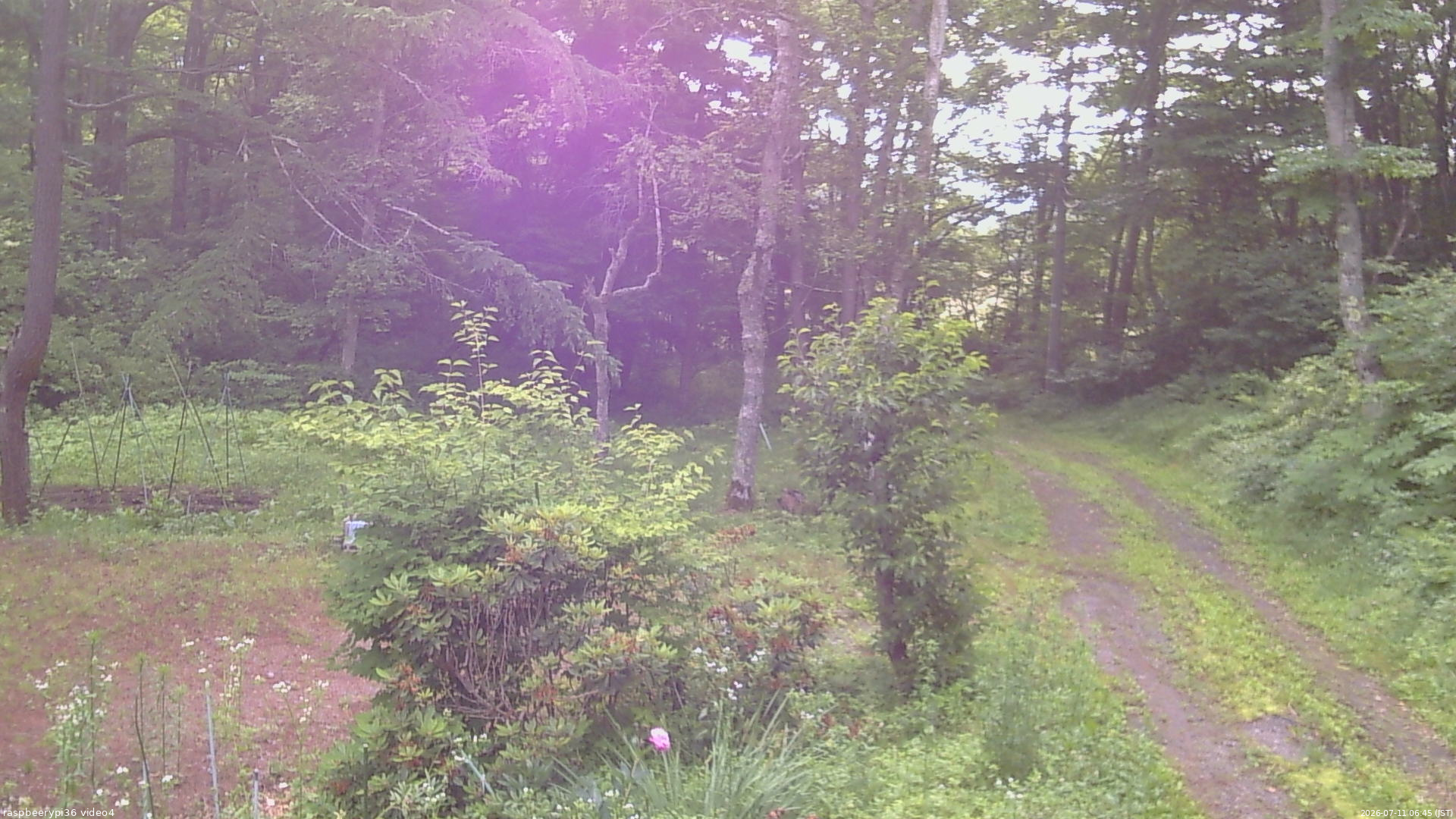 長野県菅平高原 ゆたか山荘 坂上 2026/07/11 06:45