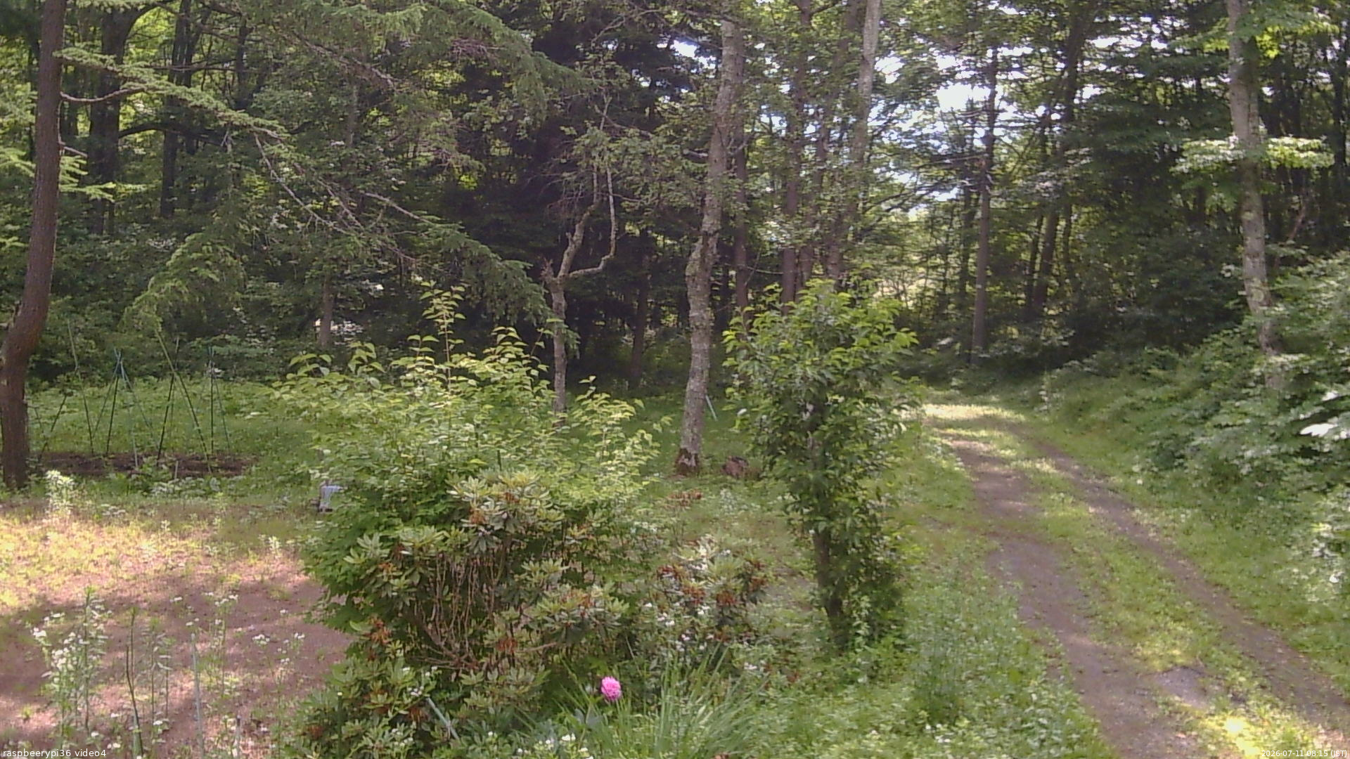 長野県菅平高原 ゆたか山荘 坂上 2026/07/11 08:15