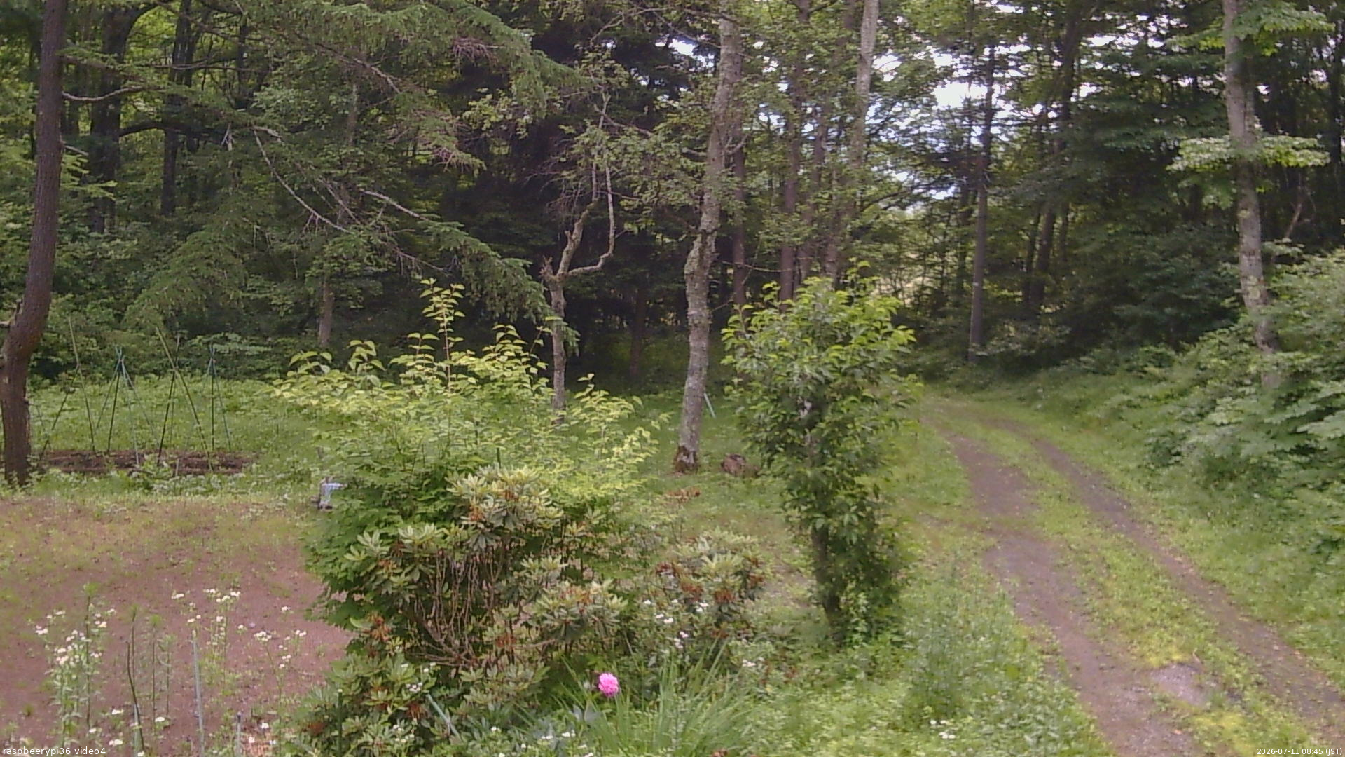長野県菅平高原 ゆたか山荘 坂上 2026/07/11 08:45