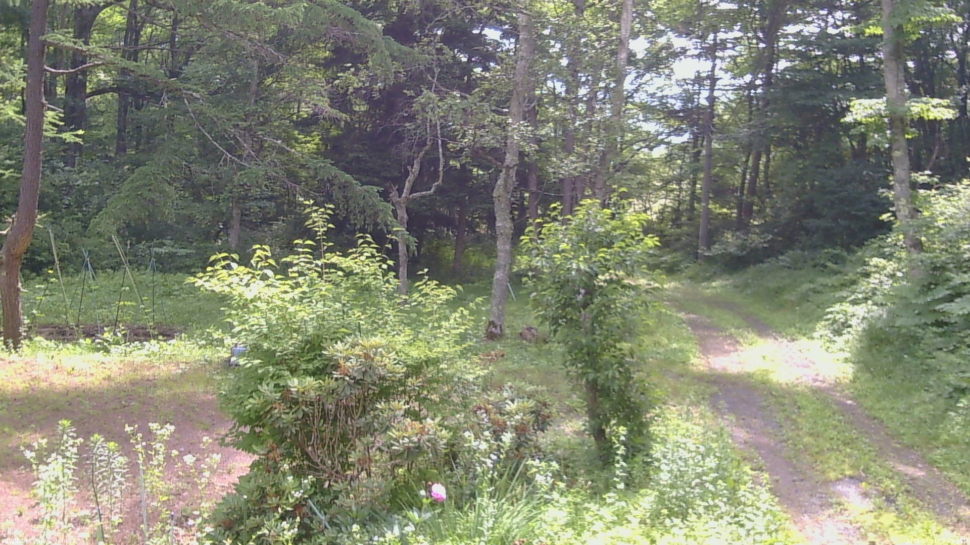長野県菅平高原 ゆたか山荘 坂上 2026/07/11 09:15