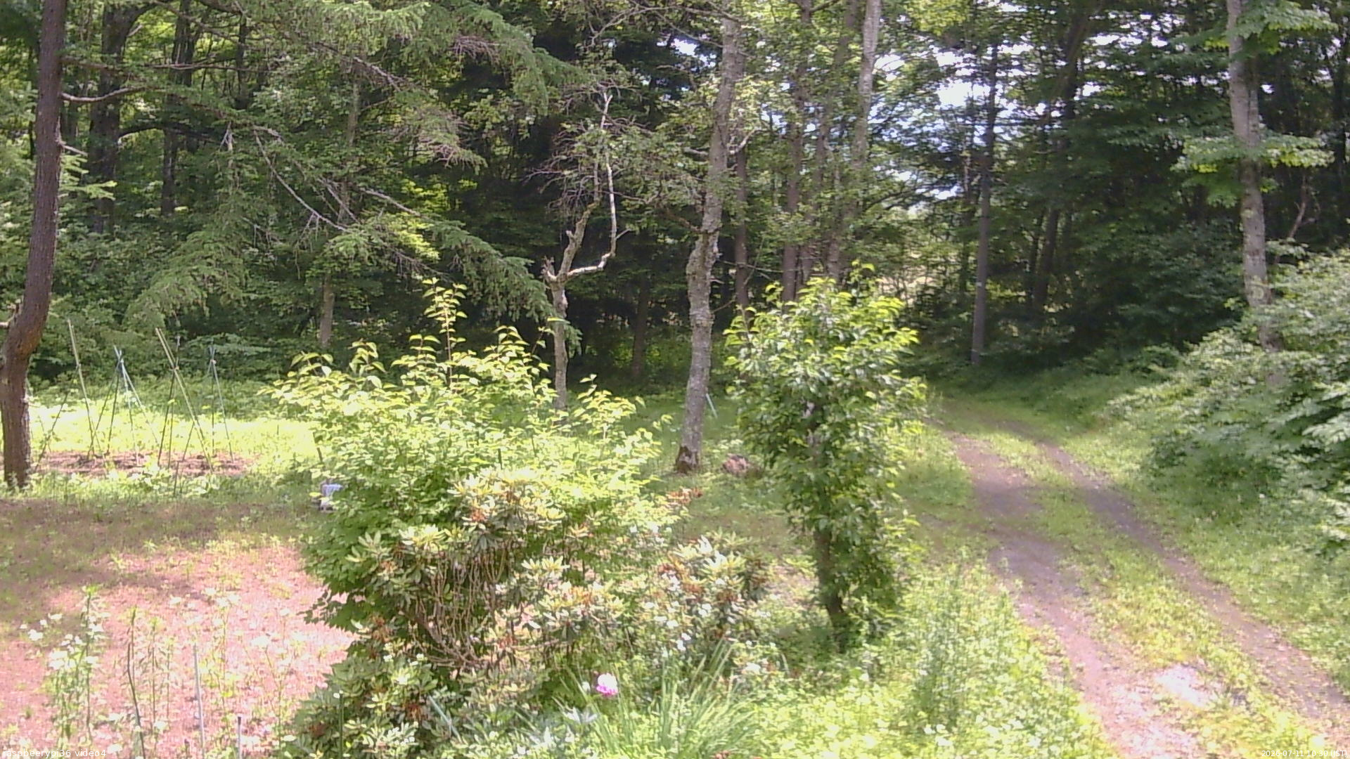 長野県菅平高原 ゆたか山荘 坂上 2026/07/11 10:30