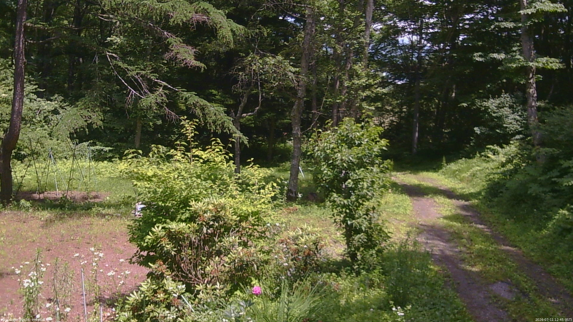 長野県菅平高原 ゆたか山荘 坂上 2026/07/11 12:45