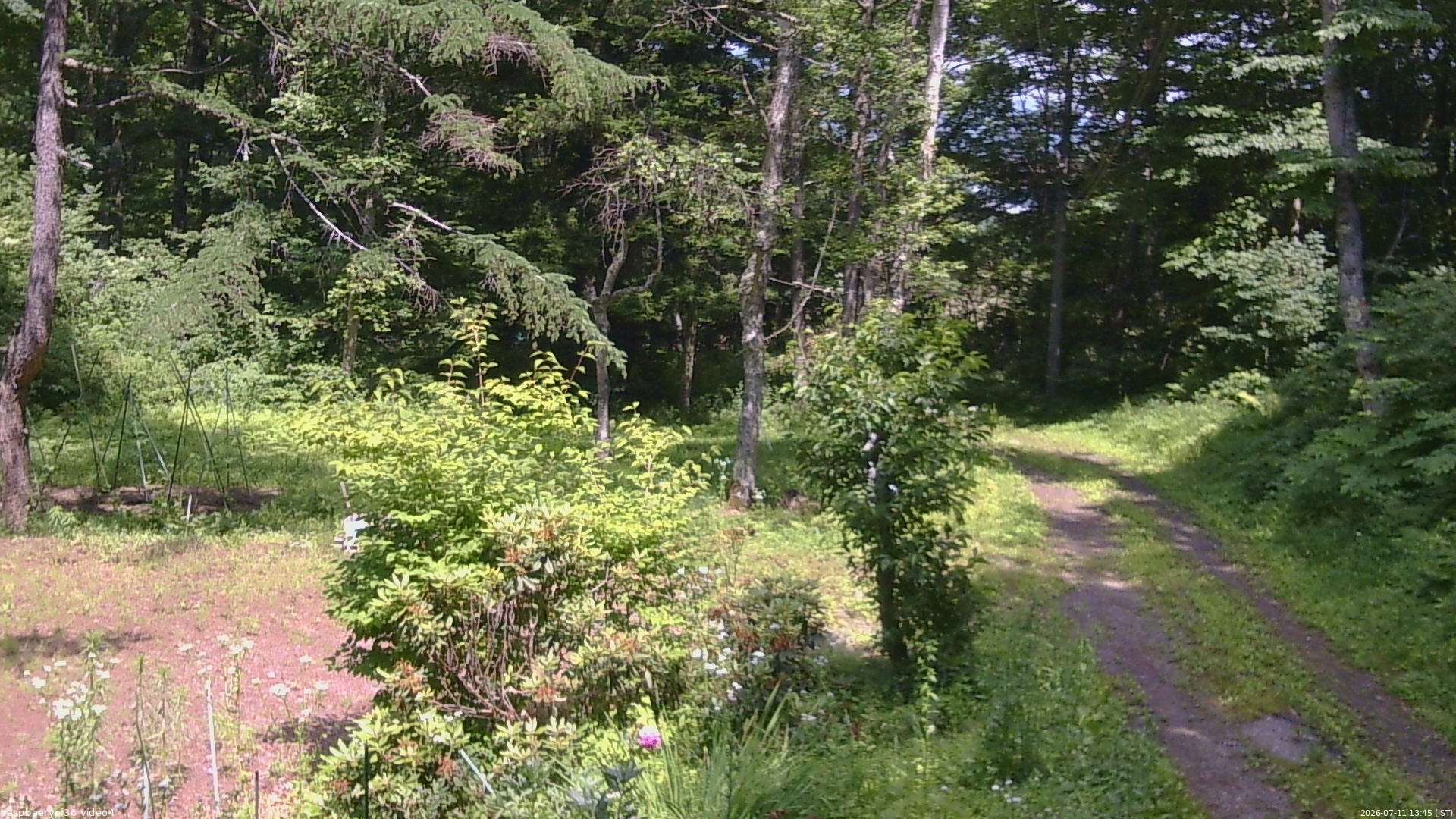 長野県菅平高原 ゆたか山荘 坂上 2026/07/11 13:45