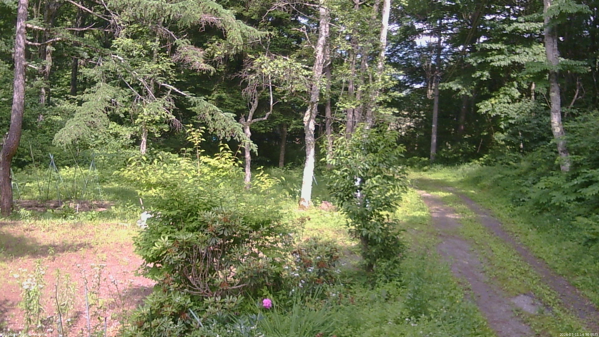 長野県菅平高原 ゆたか山荘 坂上 2026/07/11 14:30