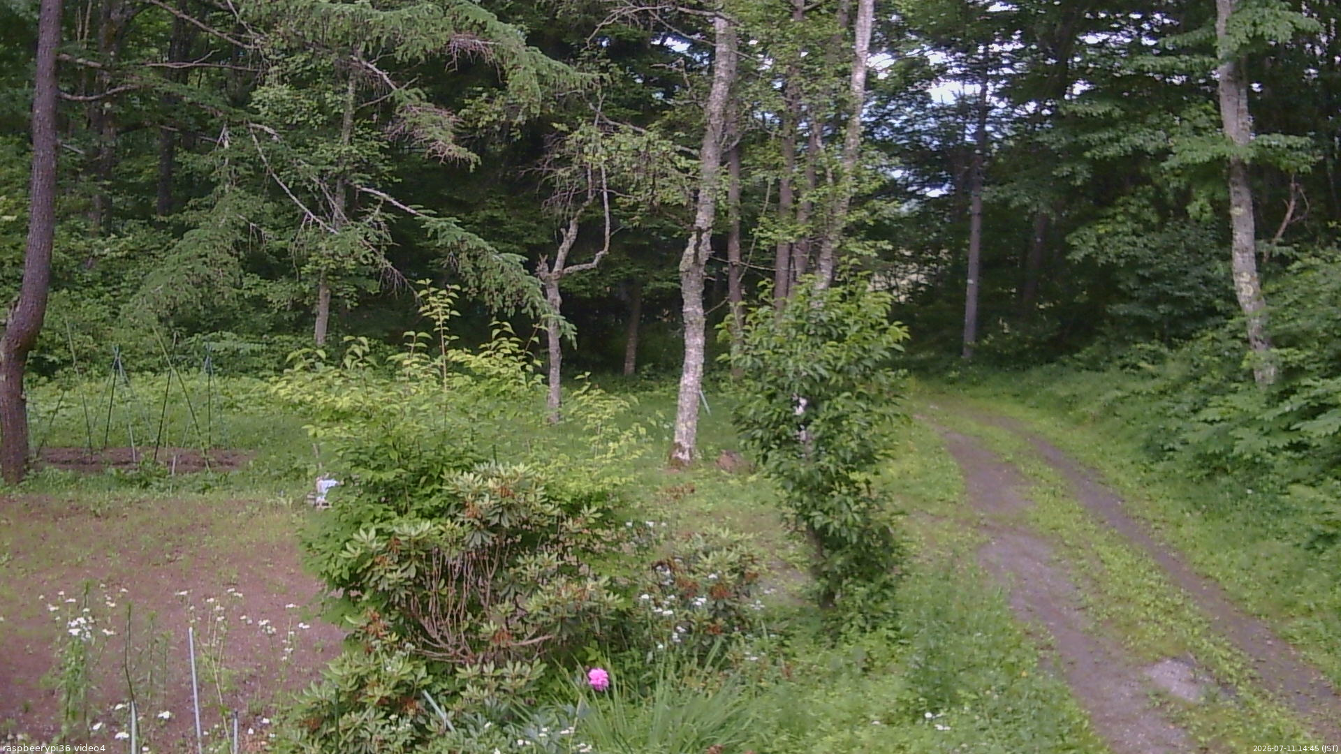 長野県菅平高原 ゆたか山荘 坂上 2026/07/11 14:45