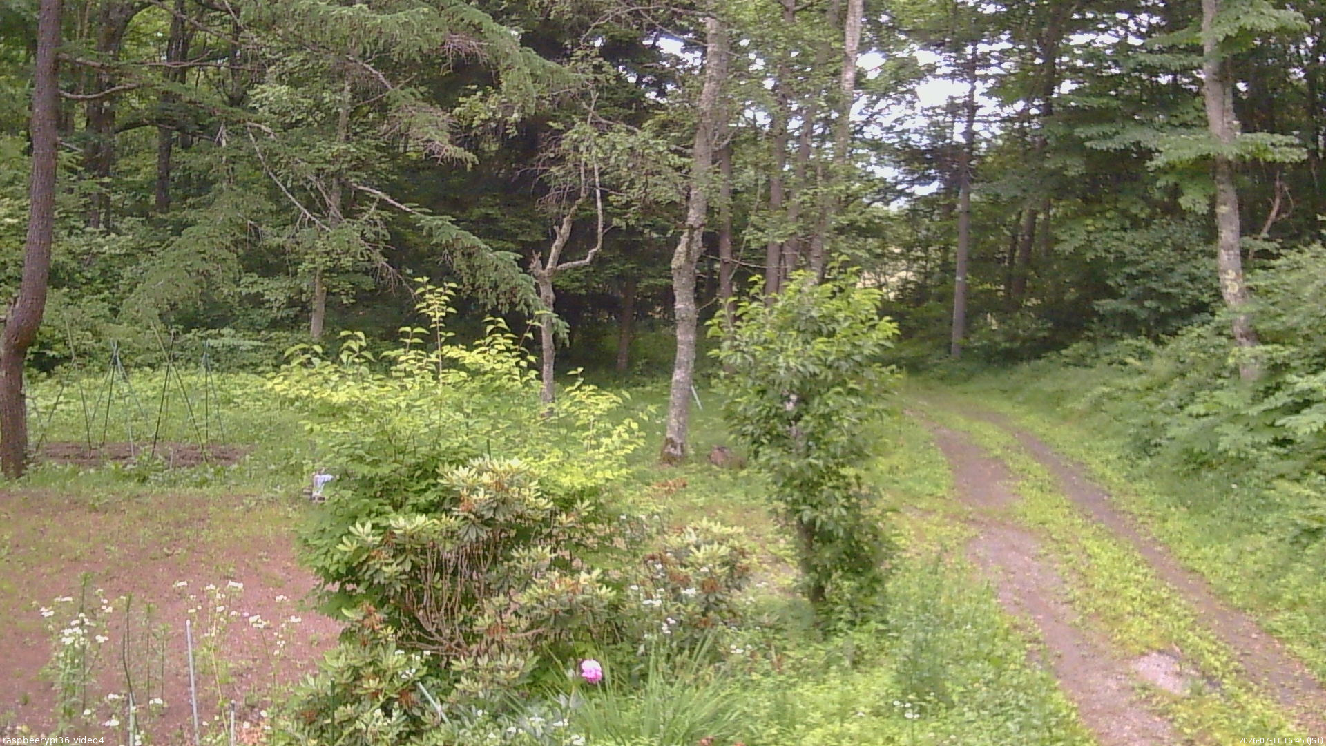 長野県菅平高原 ゆたか山荘 坂上 2026/07/11 16:45
