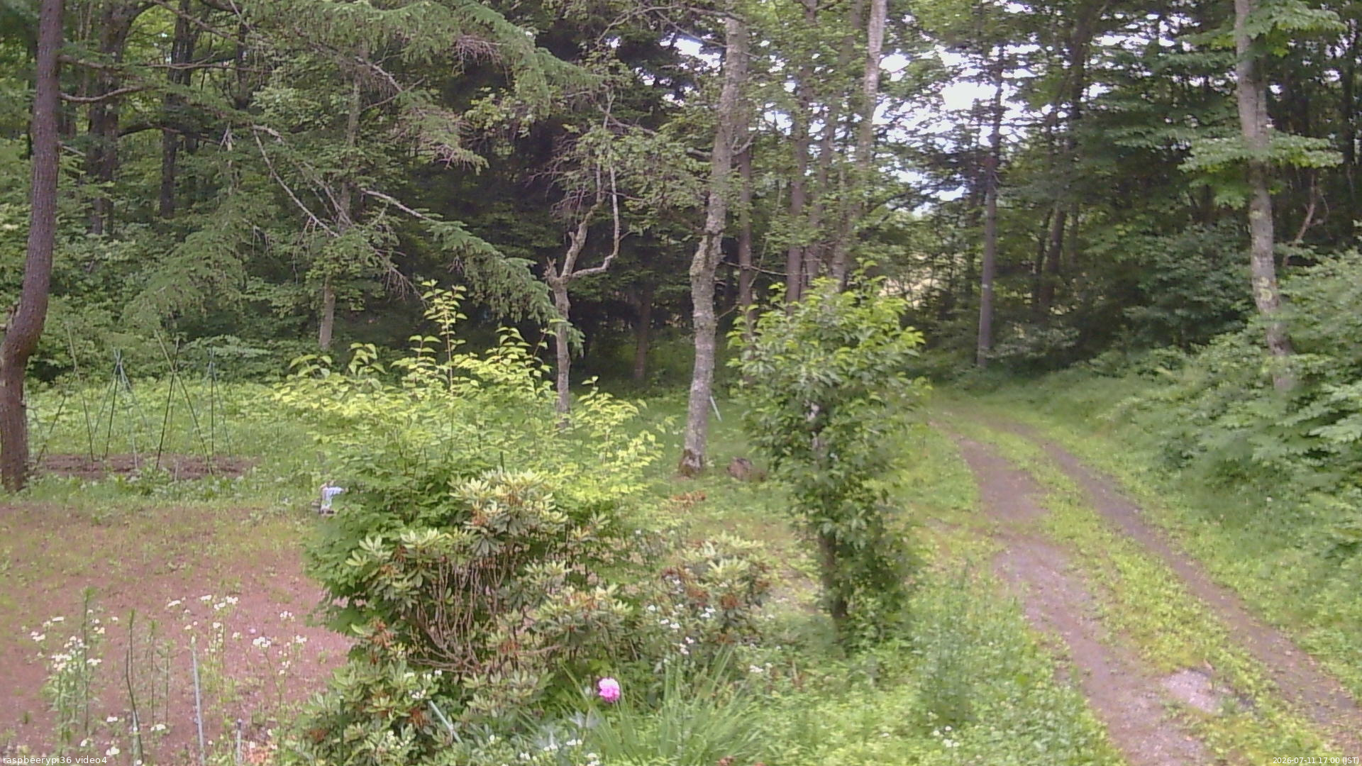 長野県菅平高原 ゆたか山荘 坂上 2026/07/11 17:00
