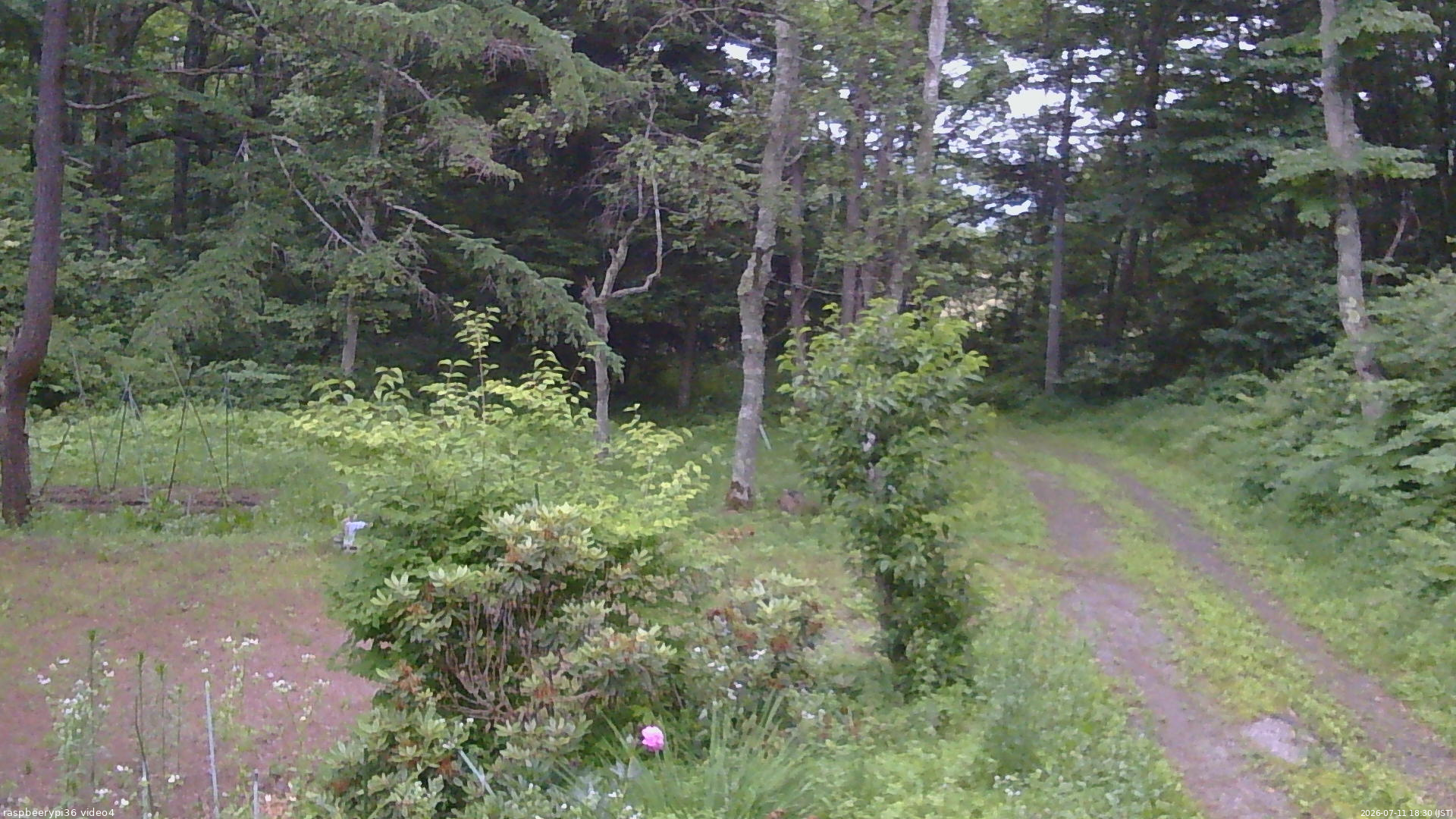 長野県菅平高原 ゆたか山荘 坂上 2026/07/11 18:30