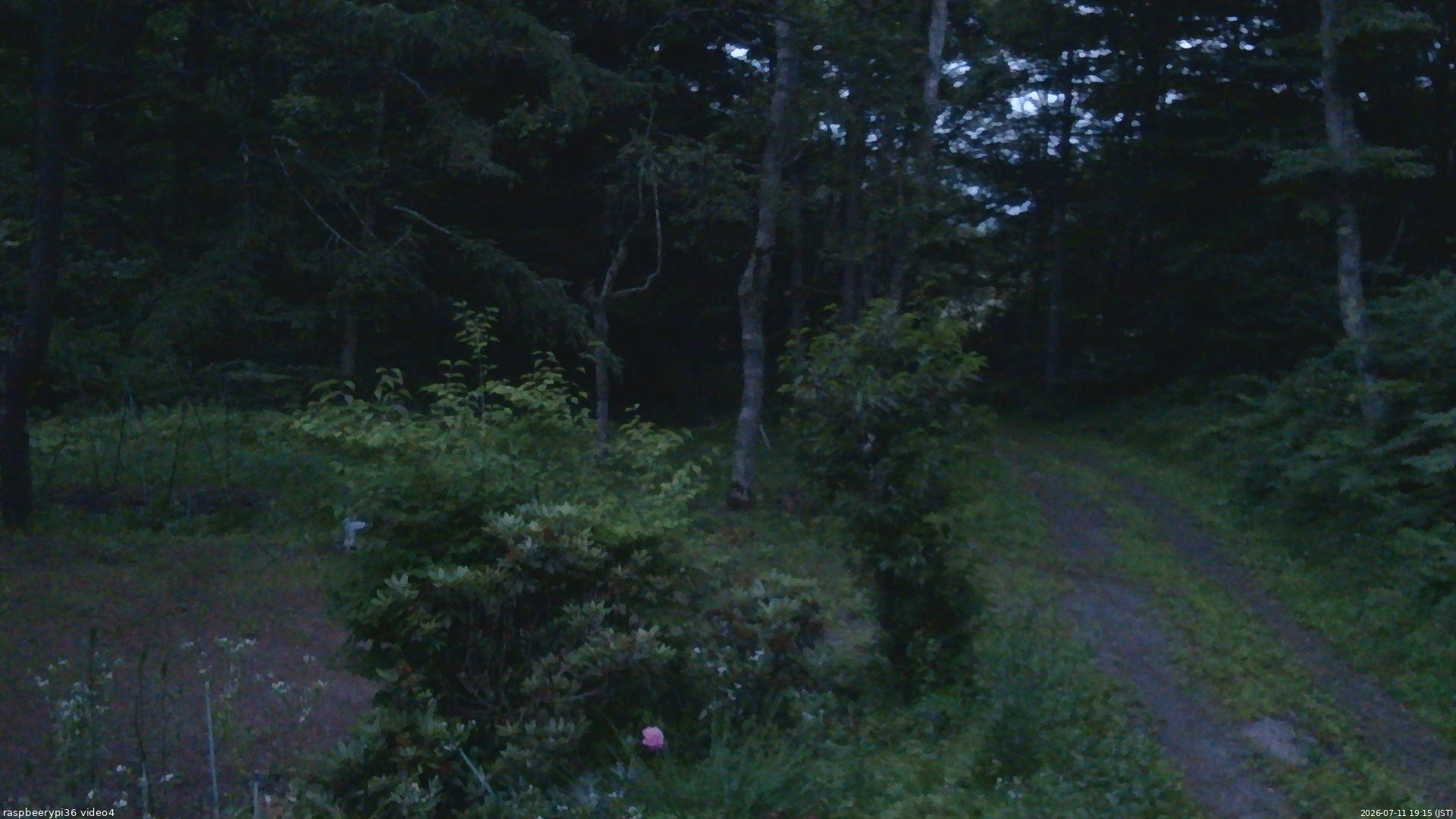 長野県菅平高原 ゆたか山荘 坂上 2026/07/11 19:15