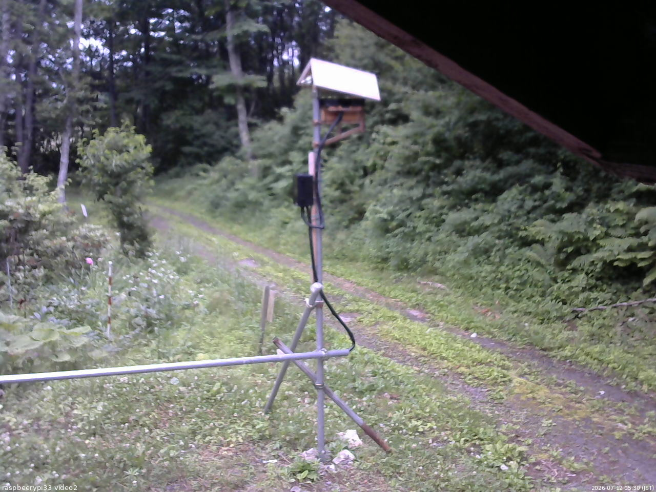 長野県菅平高原 ゆたか山荘 南側 2026/07/12 05:30