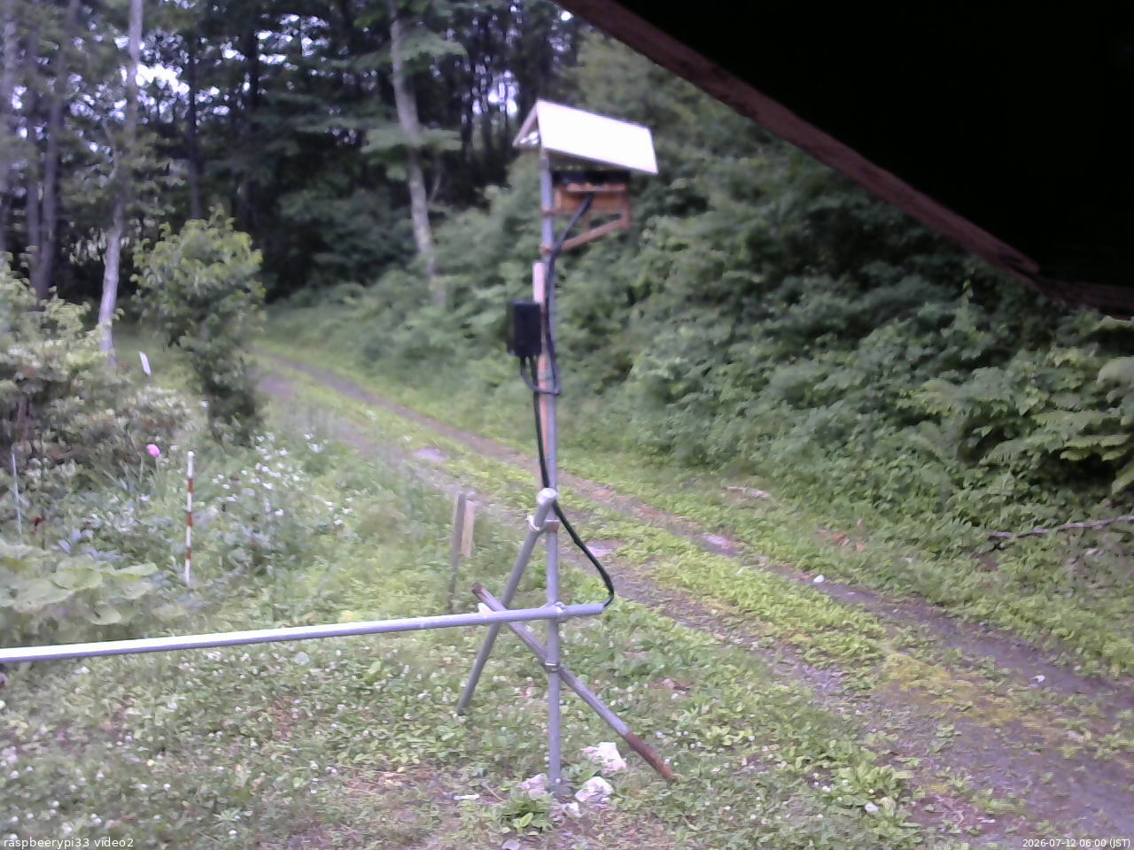 長野県菅平高原 ゆたか山荘 南側 2026/07/12 06:00
