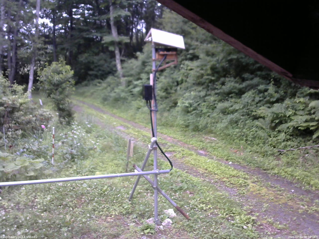 長野県菅平高原 ゆたか山荘 南側 2026/07/12 06:30