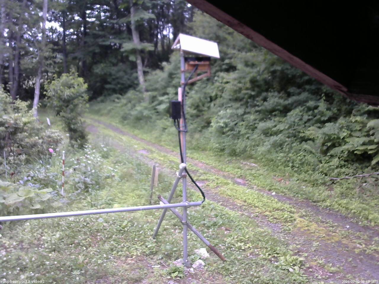長野県菅平高原 ゆたか山荘 南側 2026/07/12 06:45