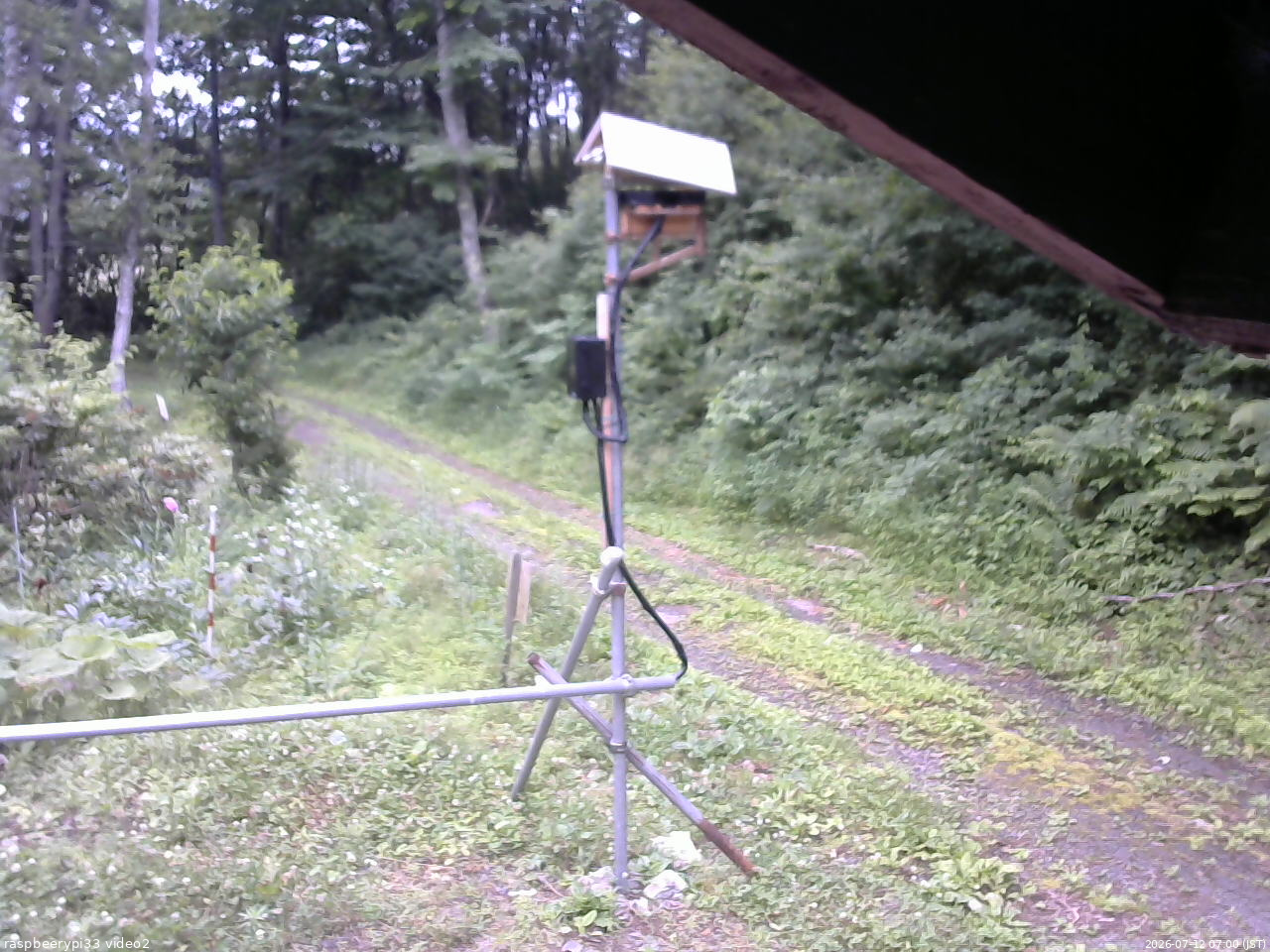 長野県菅平高原 ゆたか山荘 南側 2026/07/12 07:00