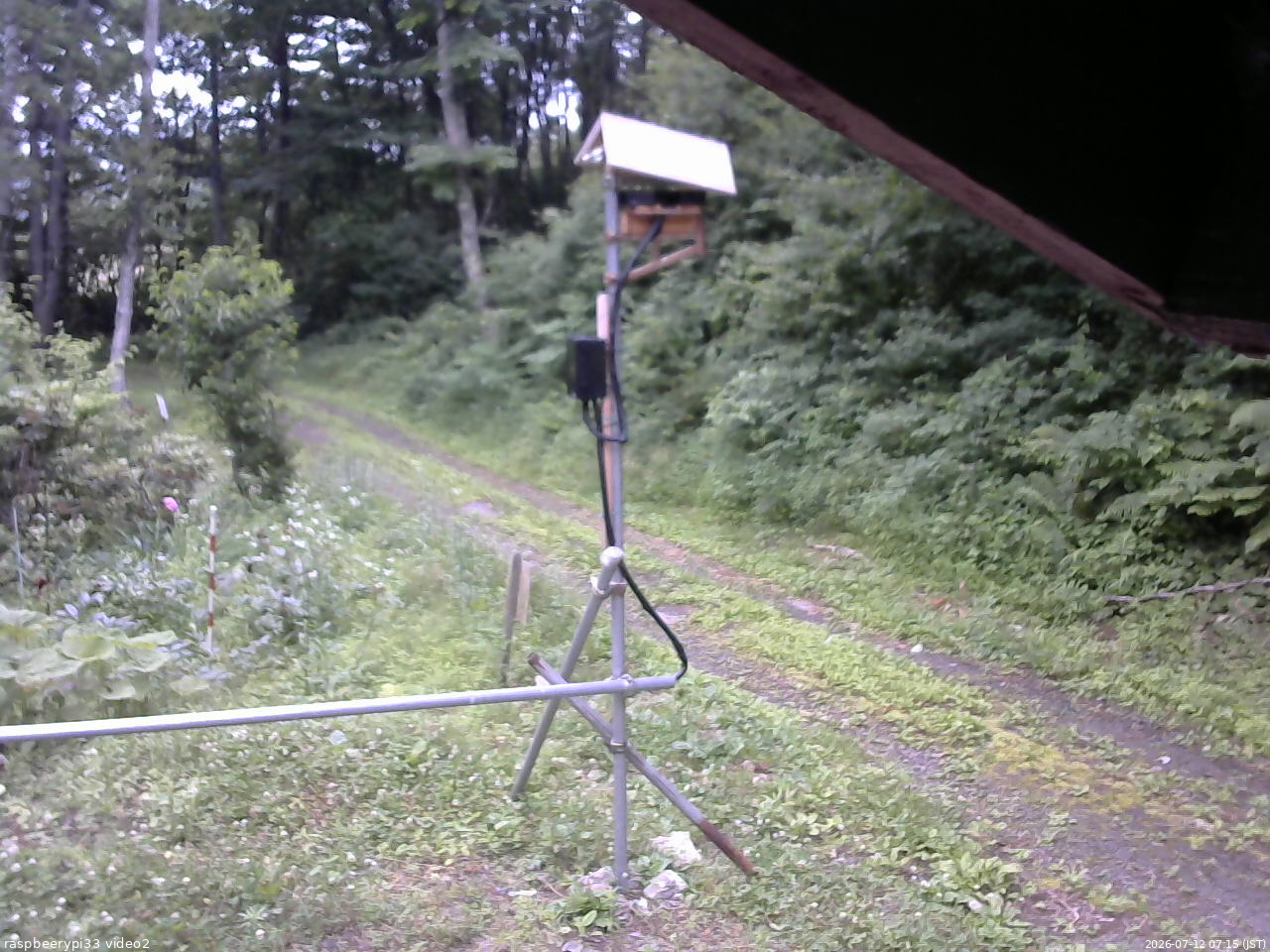 長野県菅平高原 ゆたか山荘 南側 2026/07/12 07:15