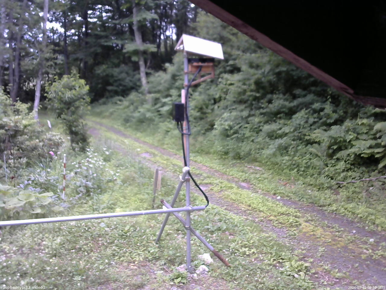 長野県菅平高原 ゆたか山荘 南側 2026/07/12 08:30