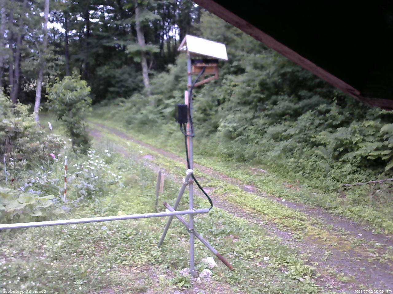 長野県菅平高原 ゆたか山荘 南側 2026/07/12 10:00