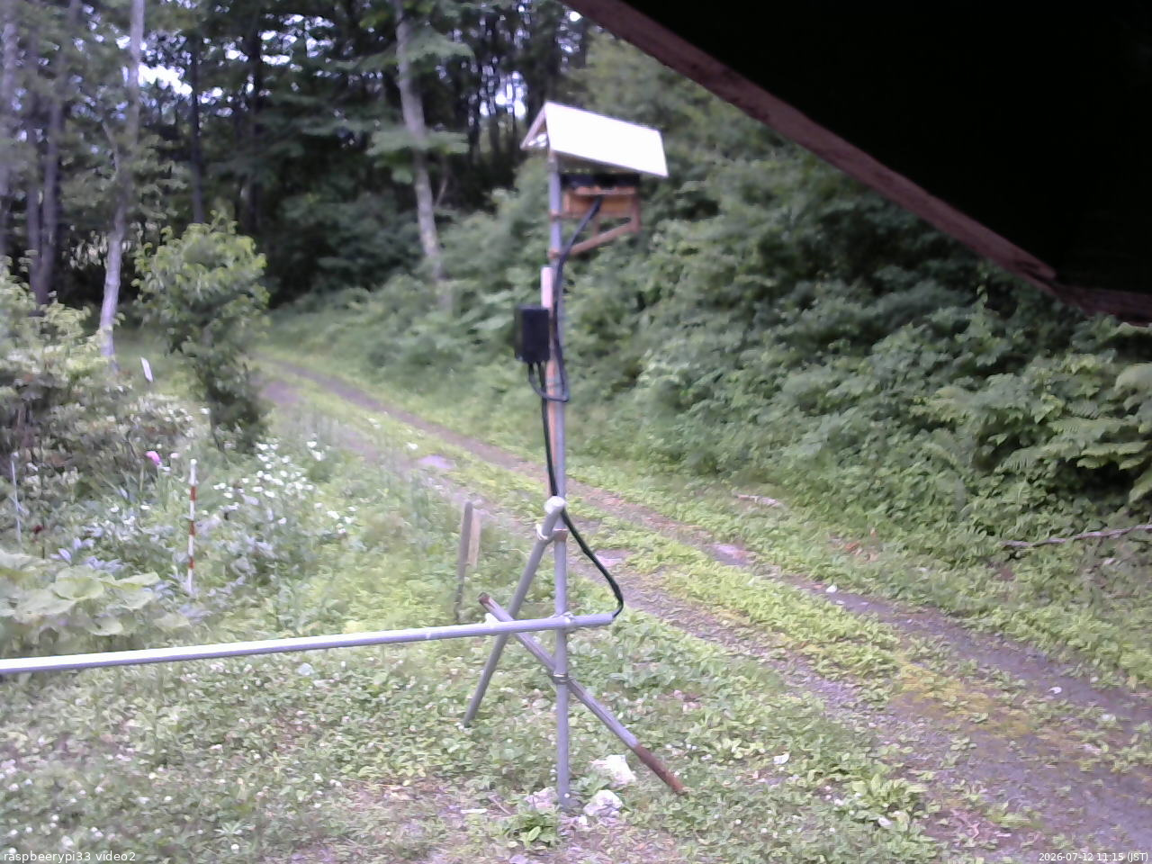 長野県菅平高原 ゆたか山荘 南側 2026/07/12 11:15