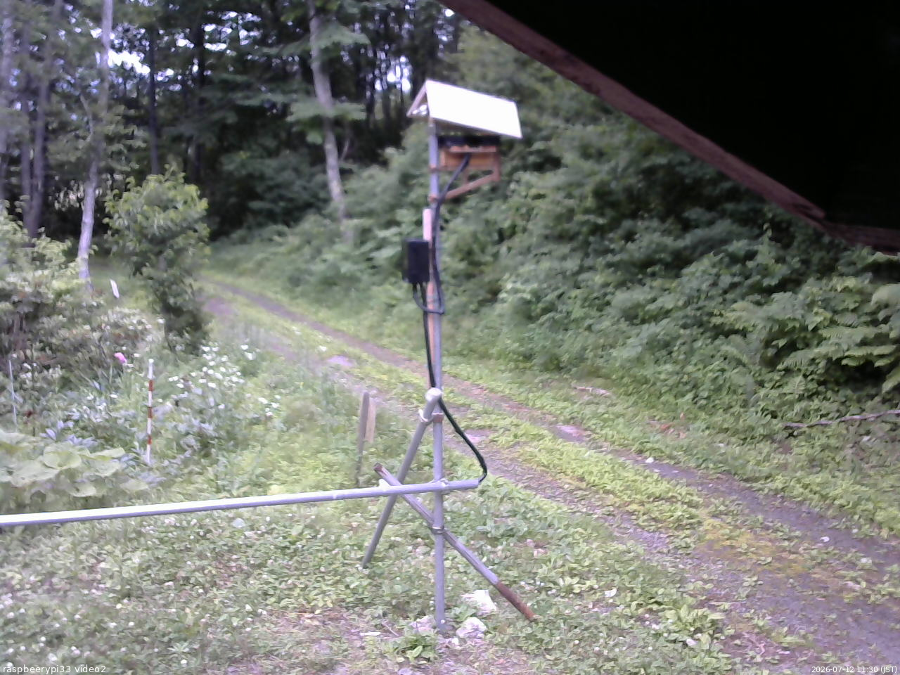 長野県菅平高原 ゆたか山荘 南側 2026/07/12 11:30