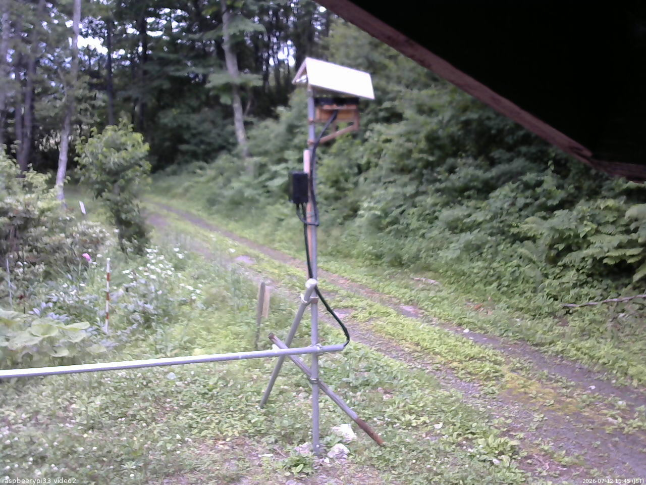 長野県菅平高原 ゆたか山荘 南側 2026/07/12 11:45