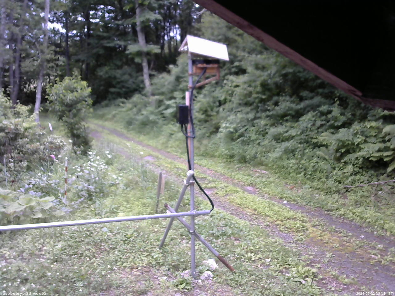 長野県菅平高原 ゆたか山荘 南側 2026/07/12 13:15