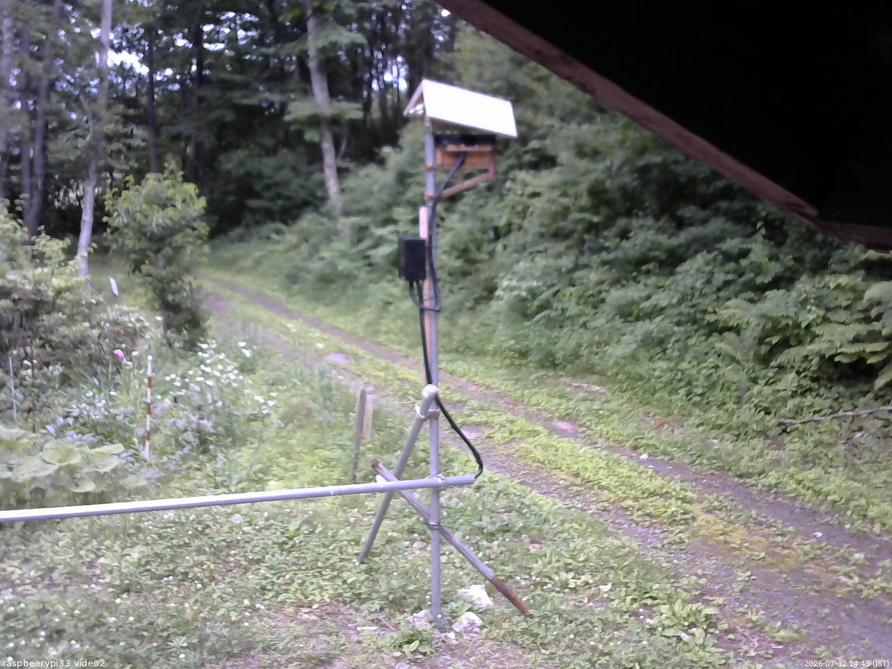 長野県菅平高原 ゆたか山荘 南側 2026/07/12 14:45