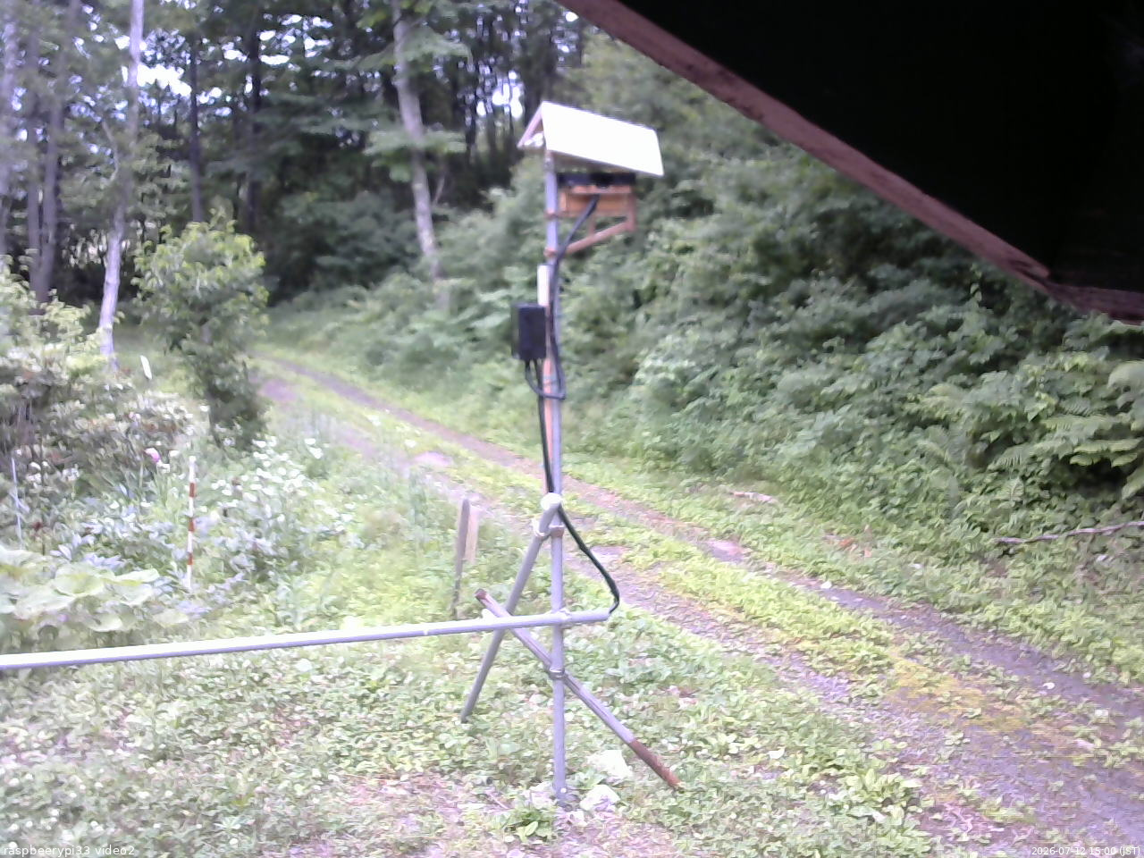 長野県菅平高原 ゆたか山荘 南側 2026/07/12 15:00