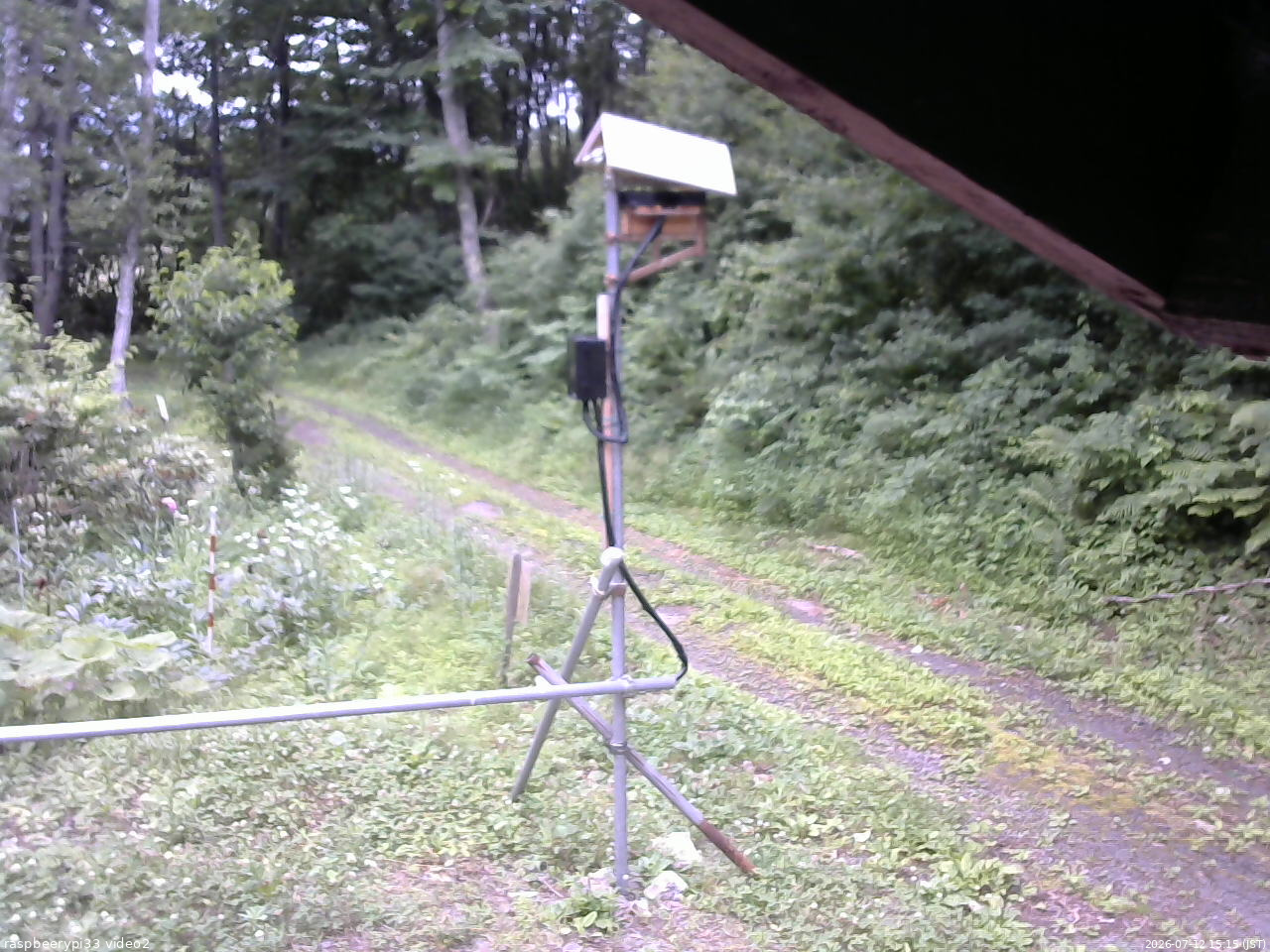 長野県菅平高原 ゆたか山荘 南側 2026/07/12 15:15