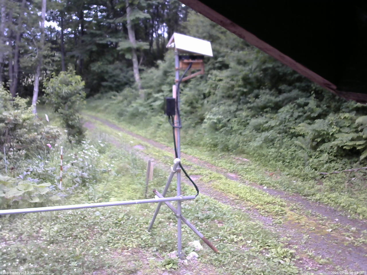 長野県菅平高原 ゆたか山荘 南側 2026/07/12 16:45