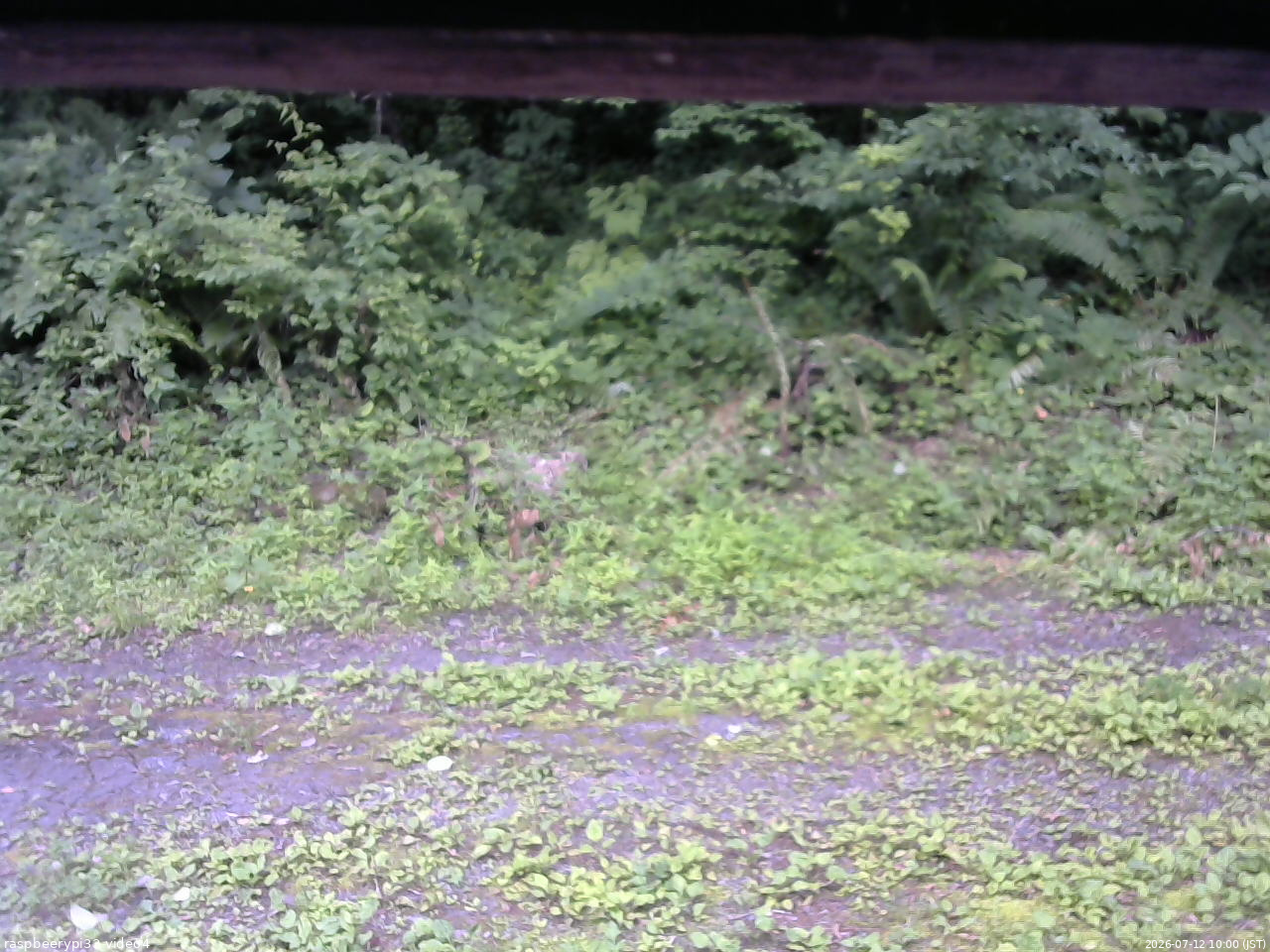 長野県菅平高原 ゆたか山荘 東側(坂下) 2026/07/12 10:00