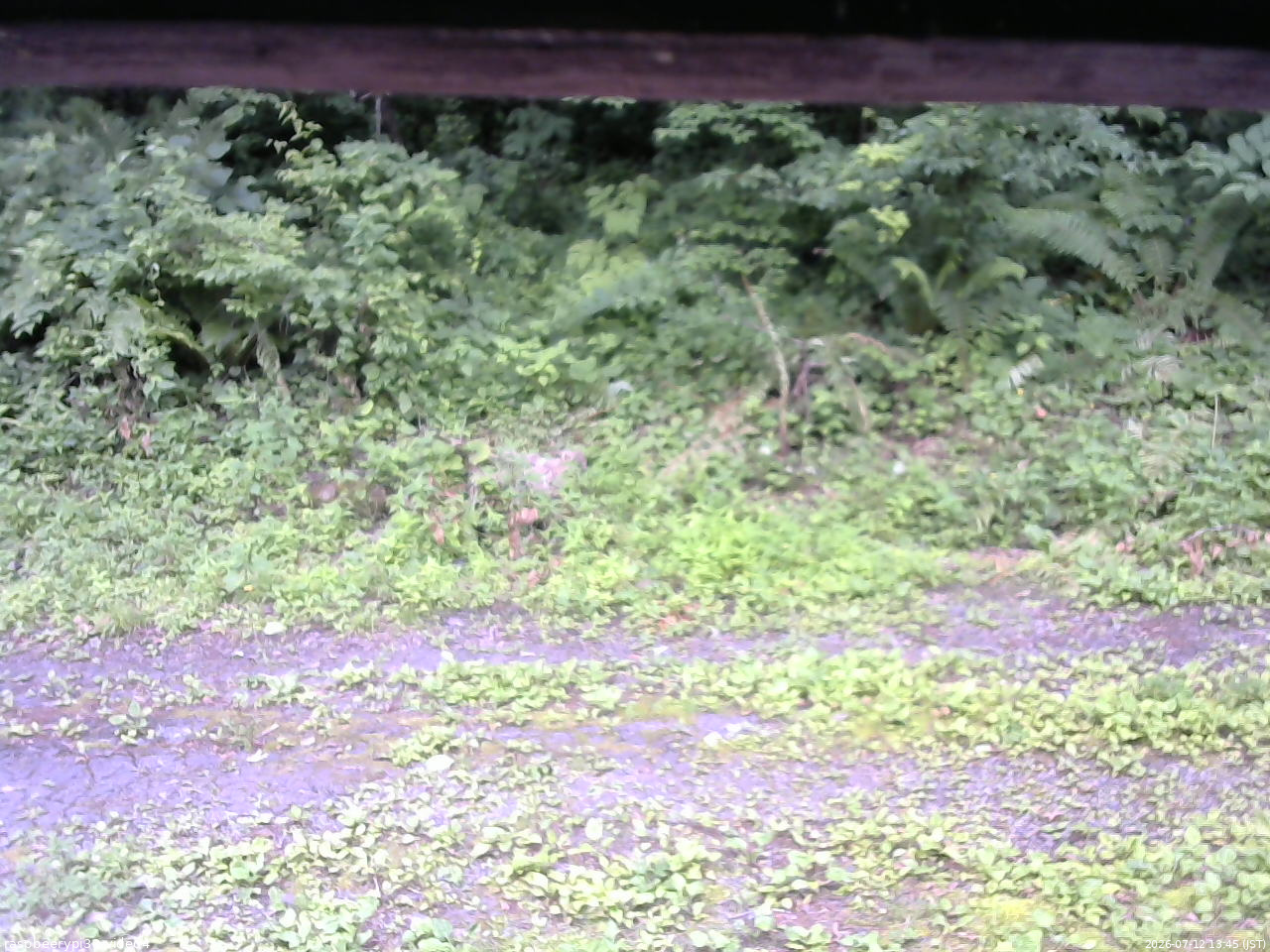 長野県菅平高原 ゆたか山荘 東側(坂下) 2026/07/12 13:45
